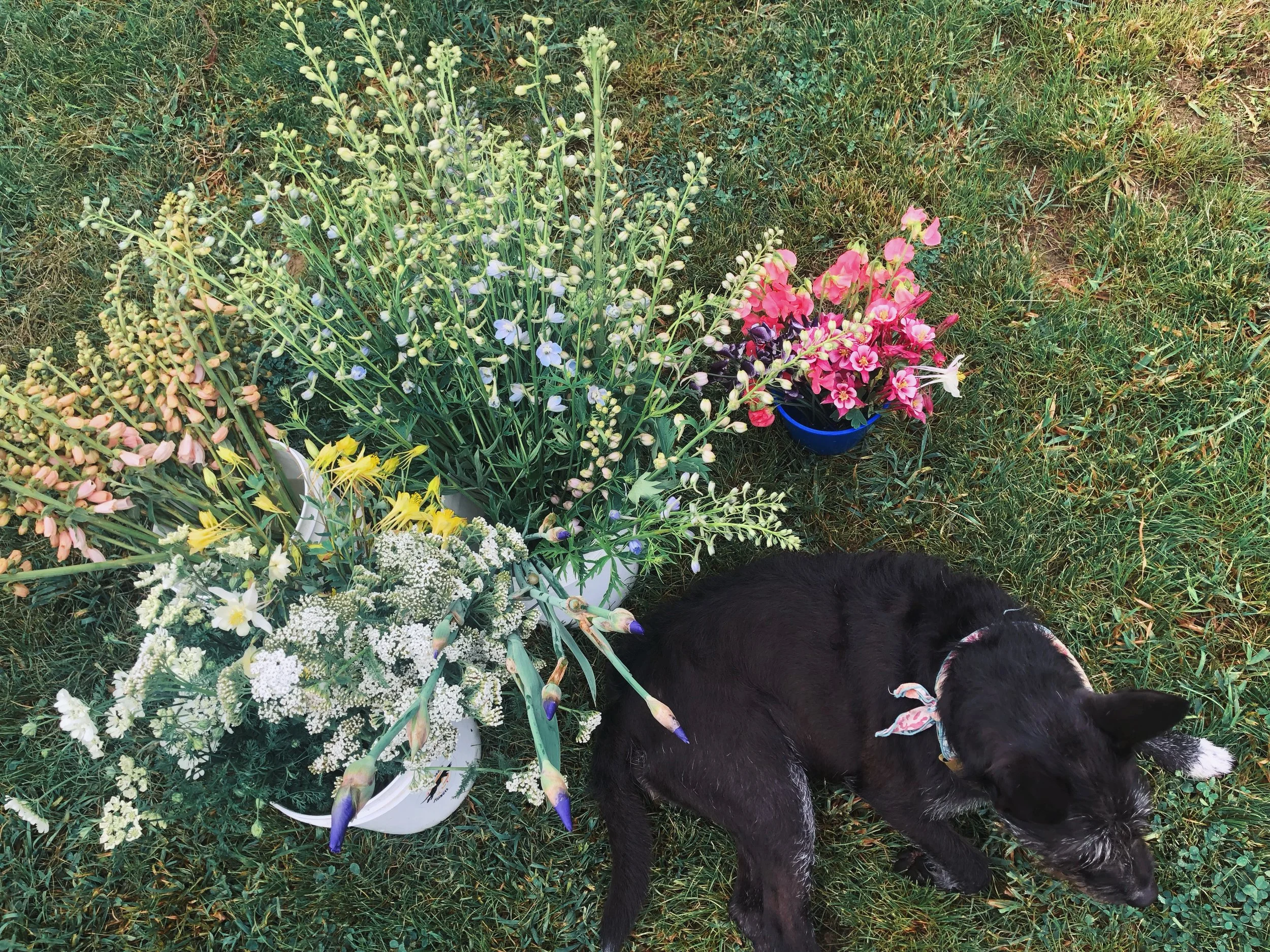 AfterlightImage 170.JPG