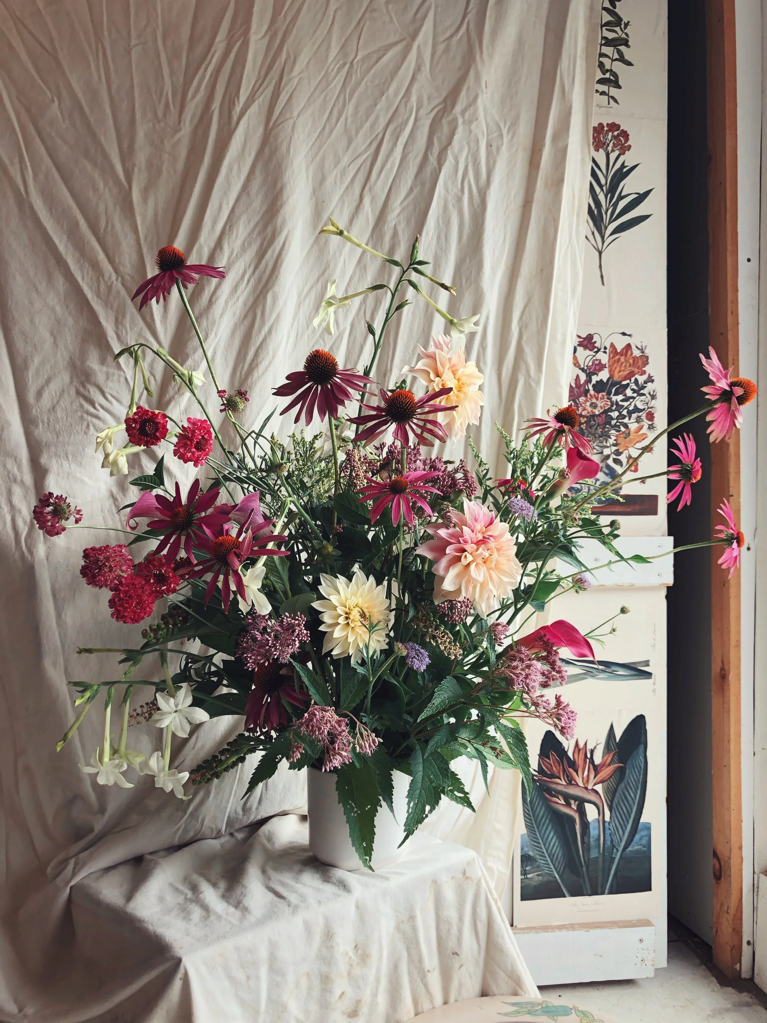 AfterlightImage 304.JPG