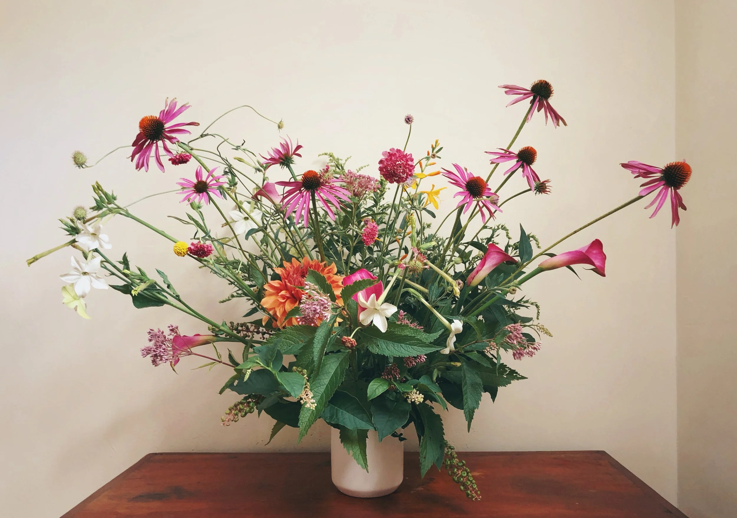 AfterlightImage 306.JPG