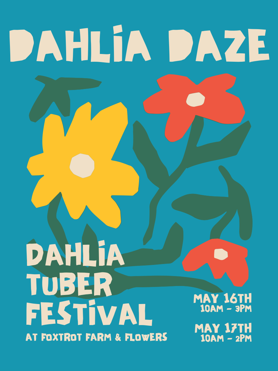 Dahlia Daze - Foxtrot's Dahlia Tuber Festival!