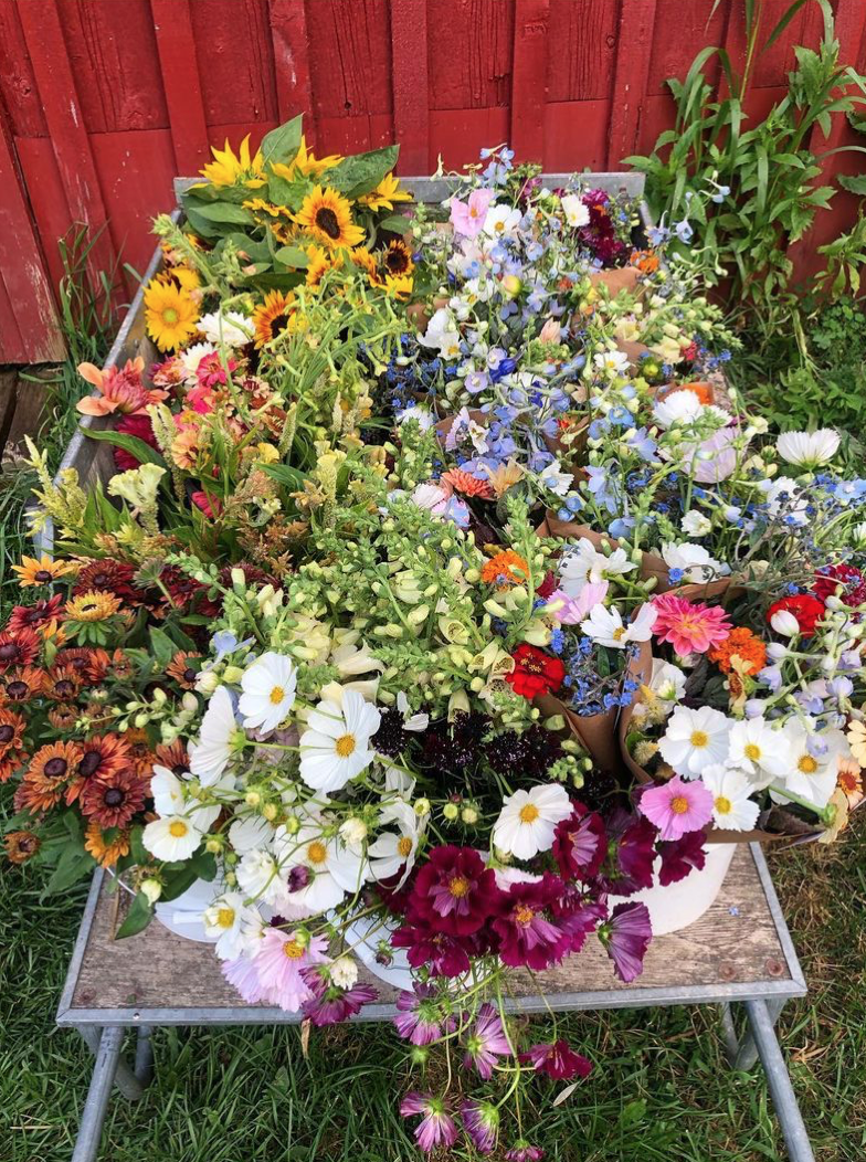 Screen Shot 2022-01-15 at 10.54.38 AM.png