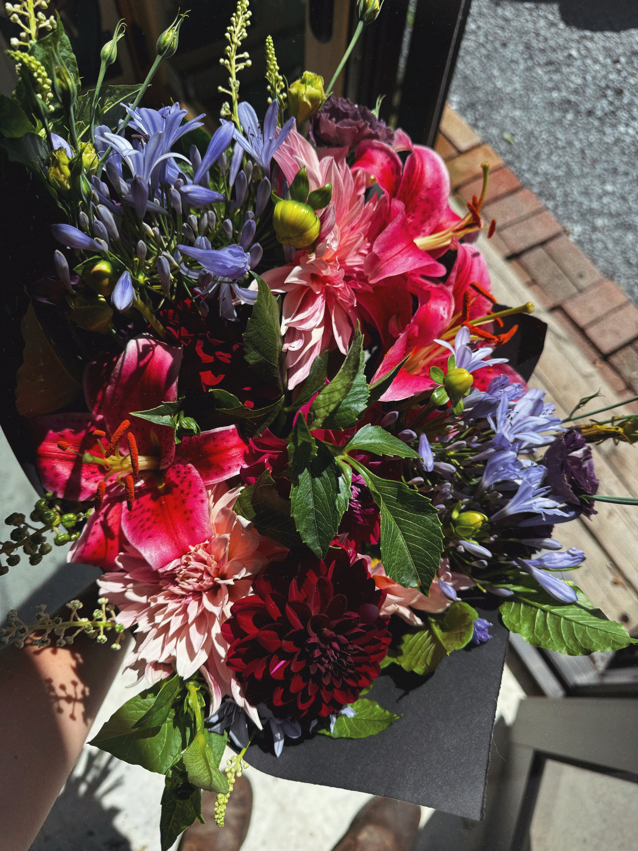 AfterlightImage 389.JPG