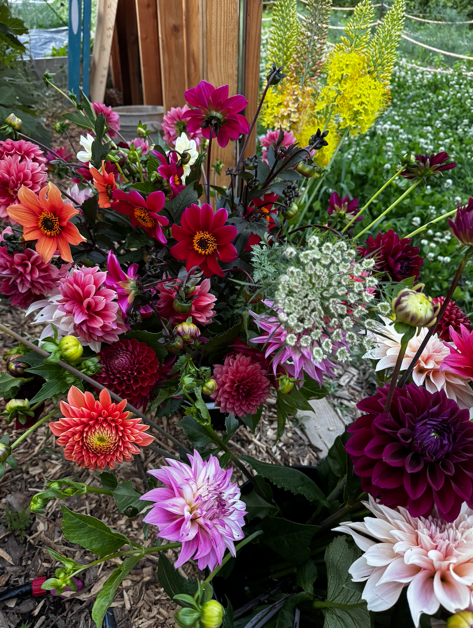 Screenshot 2024-10-05 at 9.02.46 AM.png