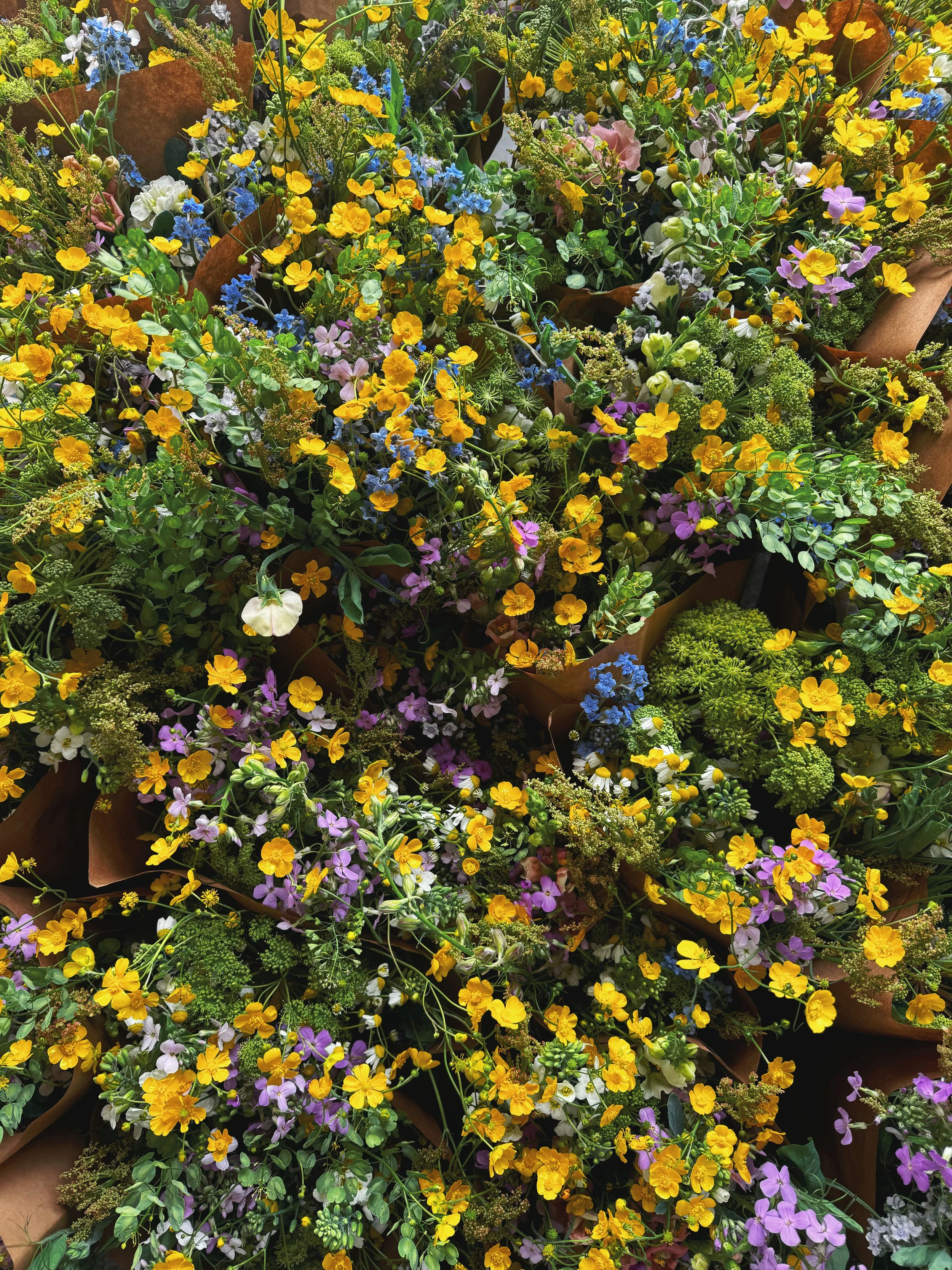 AfterlightImage 384.JPG