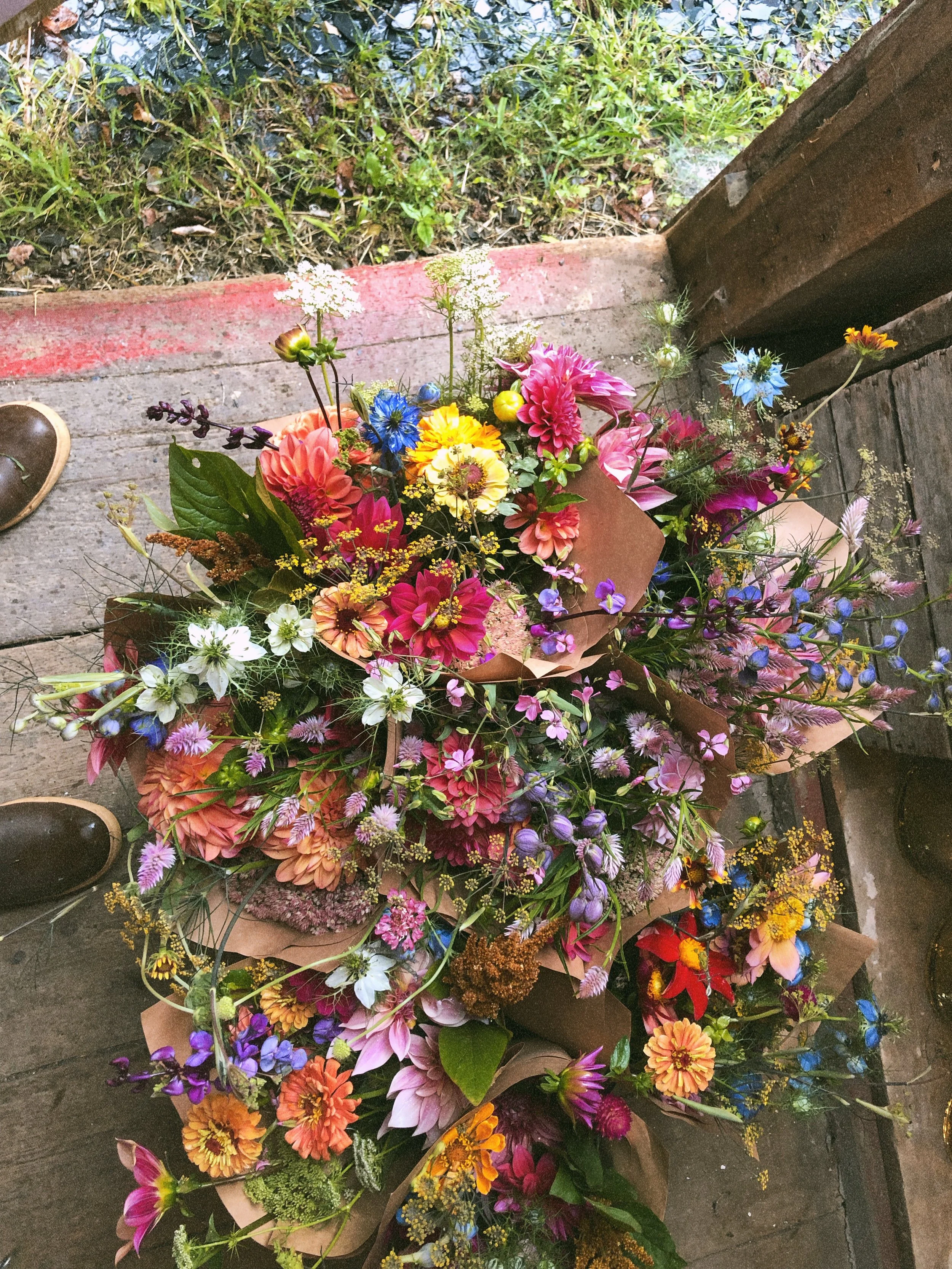 AfterlightImage 206.JPG