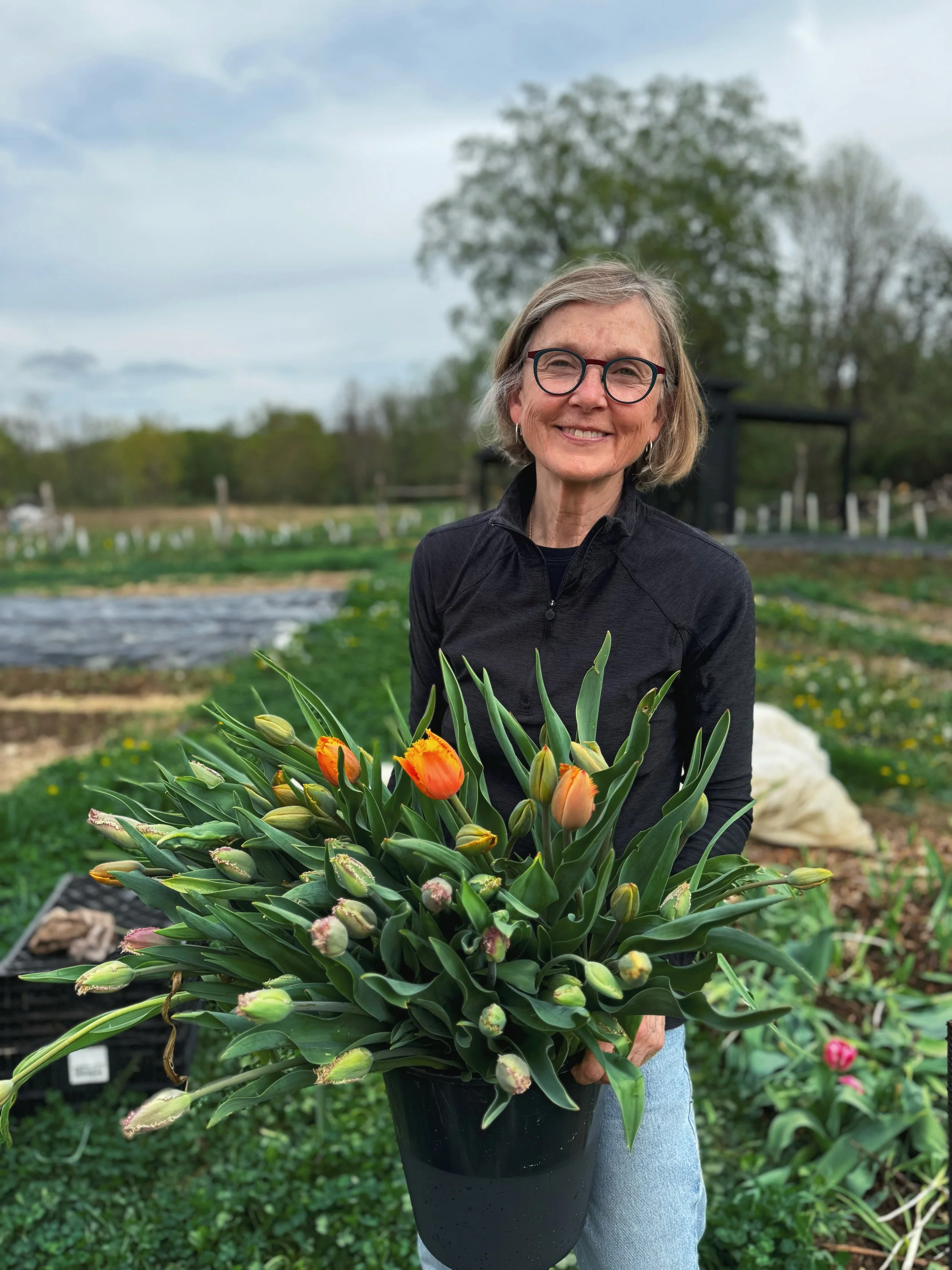 AfterlightImage 382.JPG