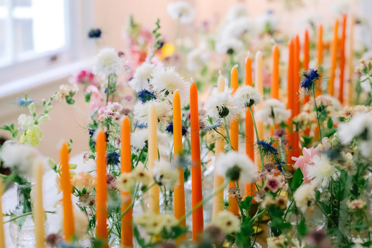 Foxtrot Farm & Flowers