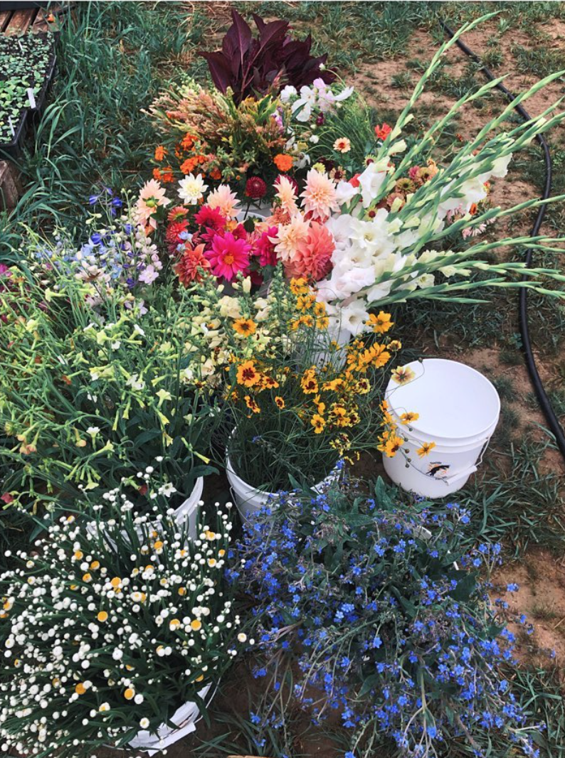 Screen Shot 2022-01-15 at 10.54.23 AM.png