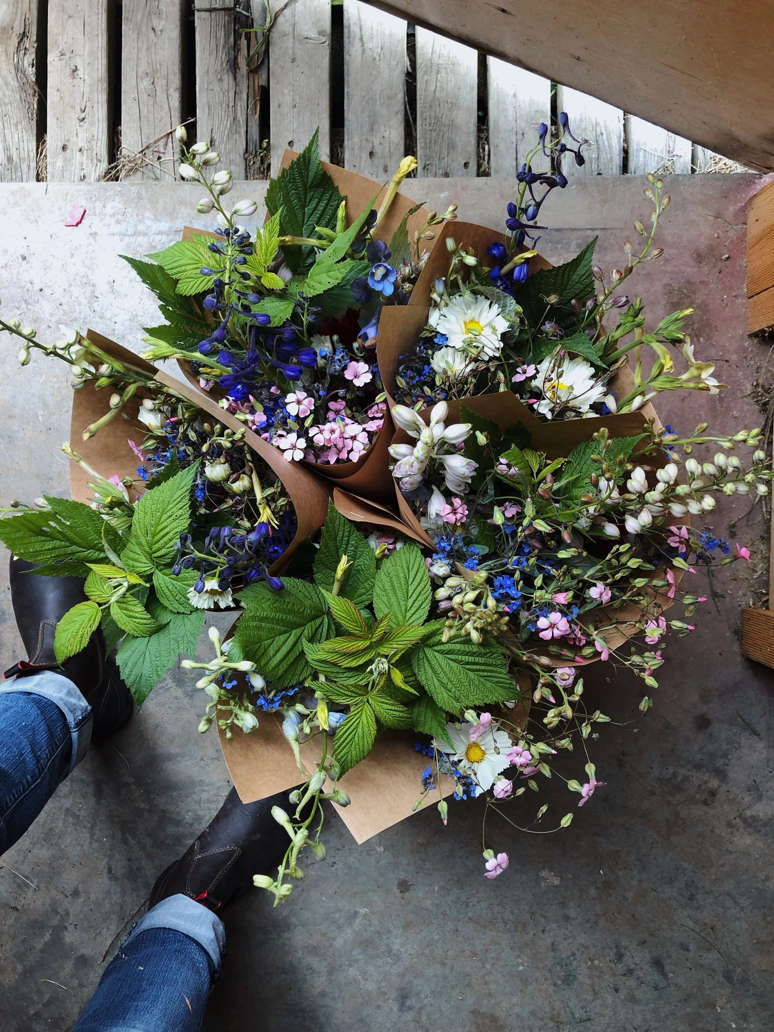 AfterlightImage 199.JPG