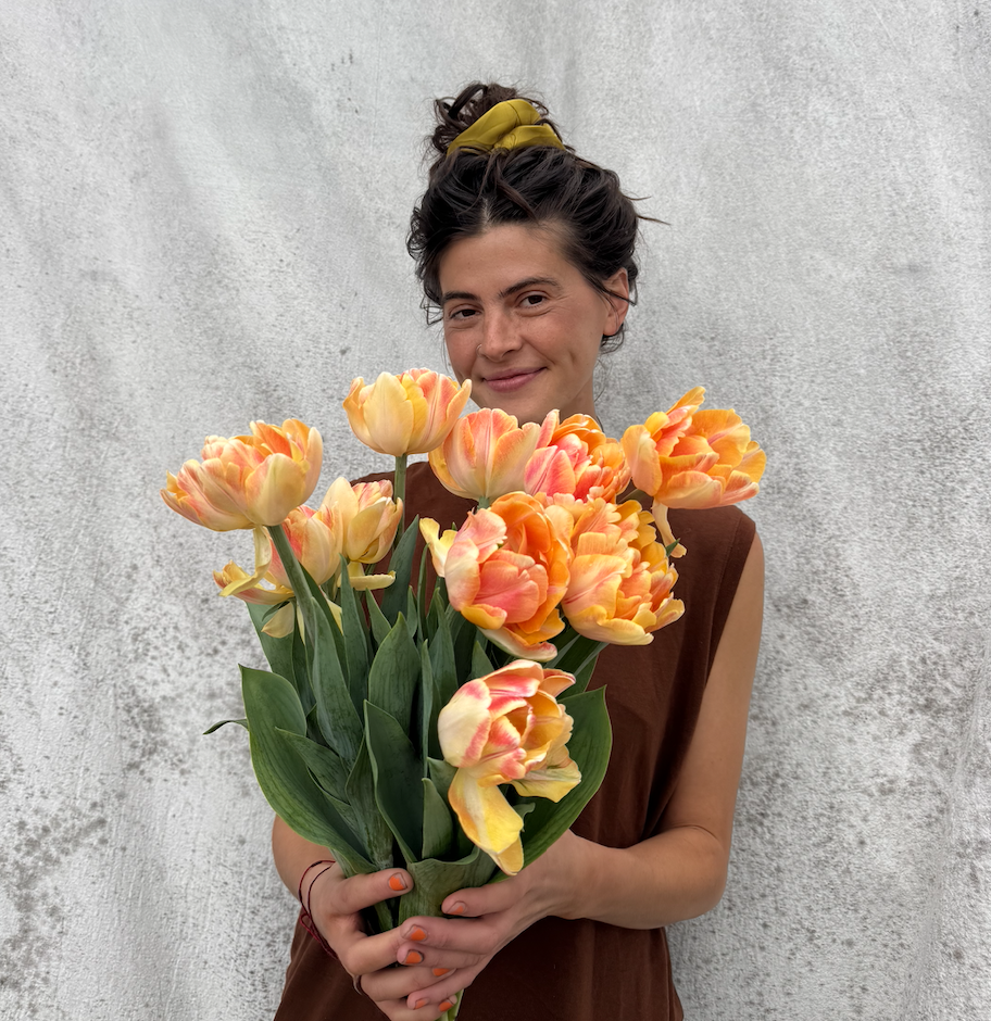 Screenshot 2026-04-01 at 5.07.26 PM.png