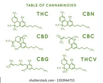 Part 2: Molecular Manufacturing with Ben Chiarelli, Founder &amp; CEO of Cellibre