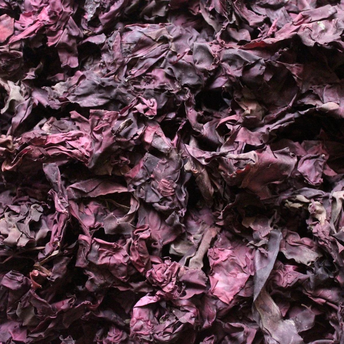 Dulse Seaweed