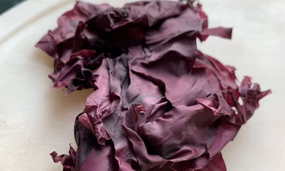 Dulse Seaweed