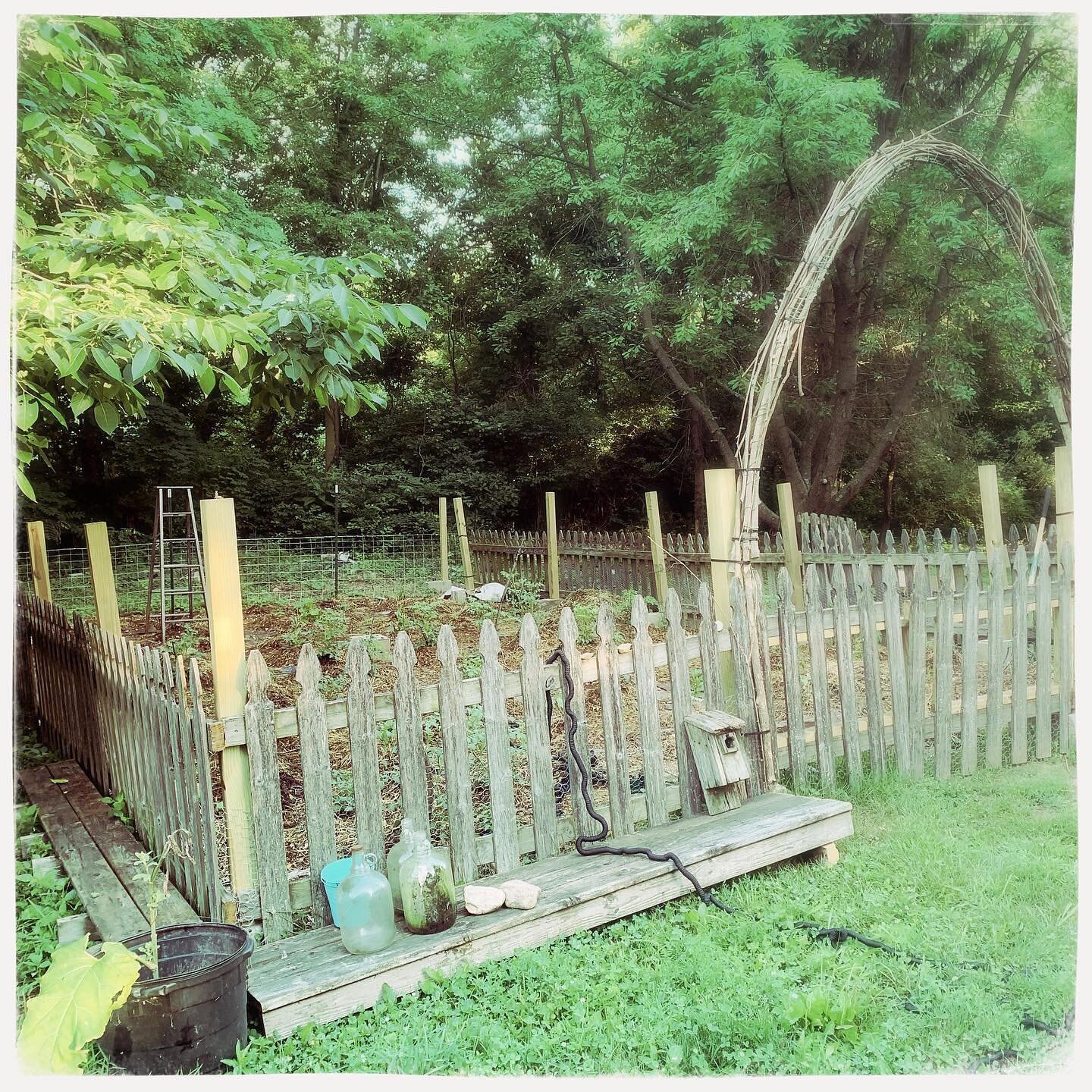 Our garden 🪴 is expanding &hellip; this weekend I added some decking , rocks and collecting jars &hellip; #gardentherapy #gardenaltar #growyourfood #farmfresh #veggieseverywhere #loveyourgarden 💚🪴🌱