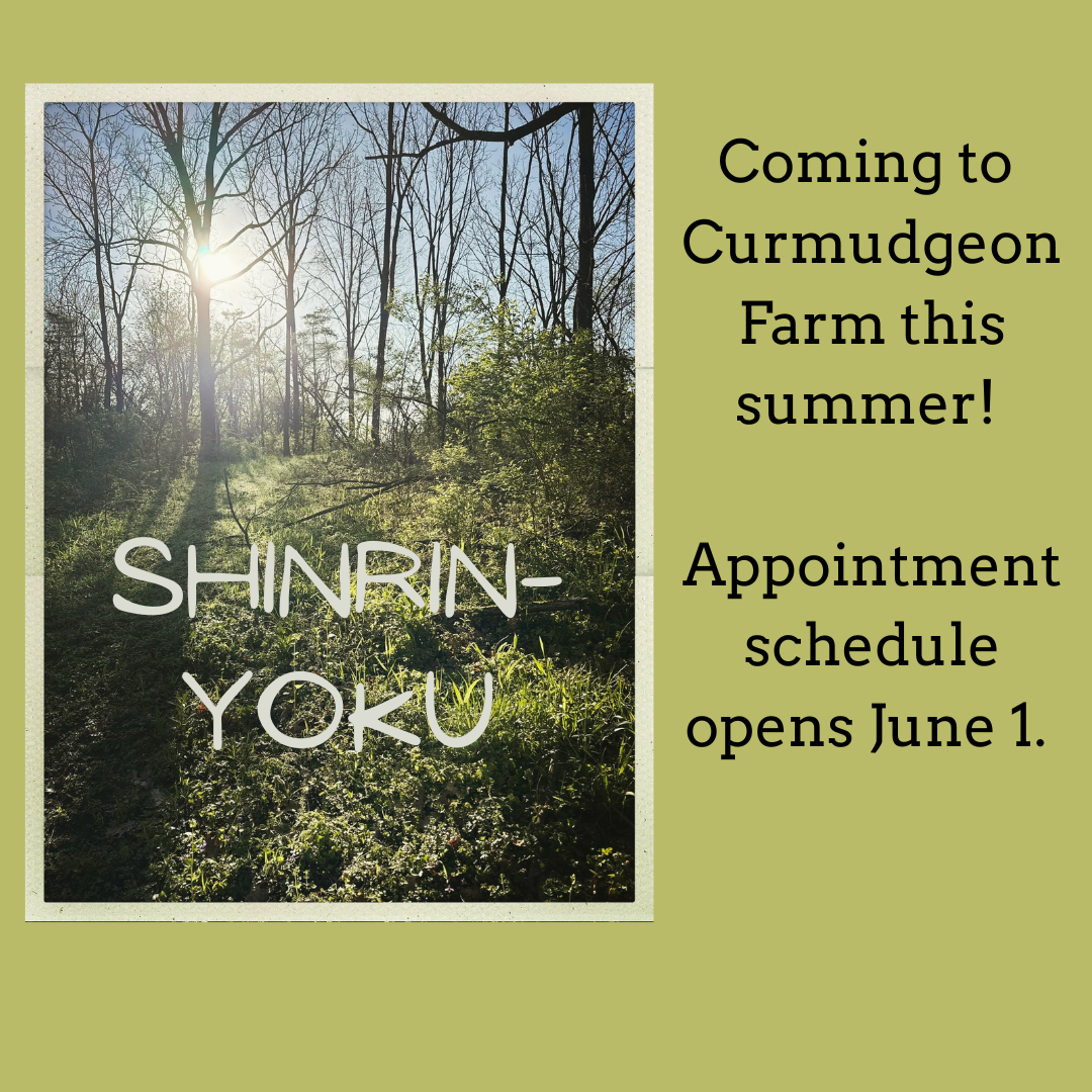 Shinrin-Yoku