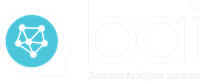 Business Analytics Institute