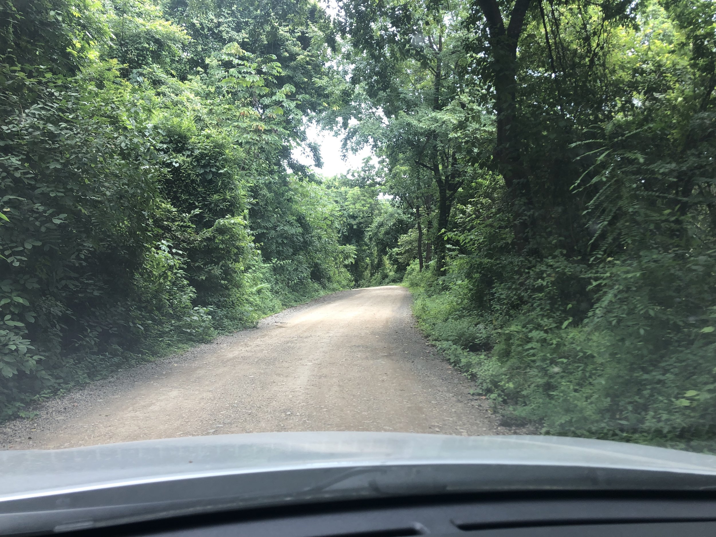 Costa Rica’s "Hidden Coast": Nosara, San Juanillo and surrounds