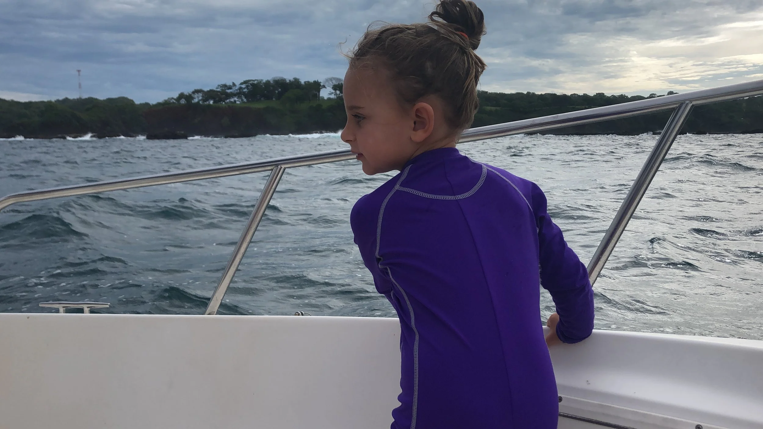 Sea Turtles 🐢 Part 1: The Ocean