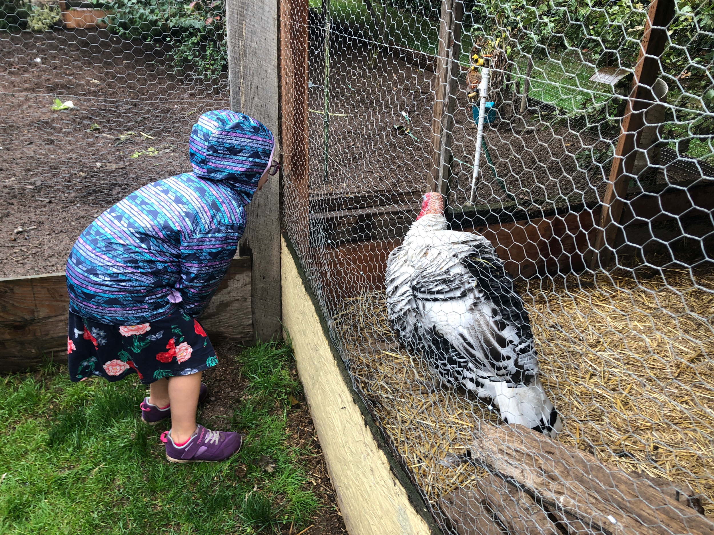 IMG_3402.jpeg