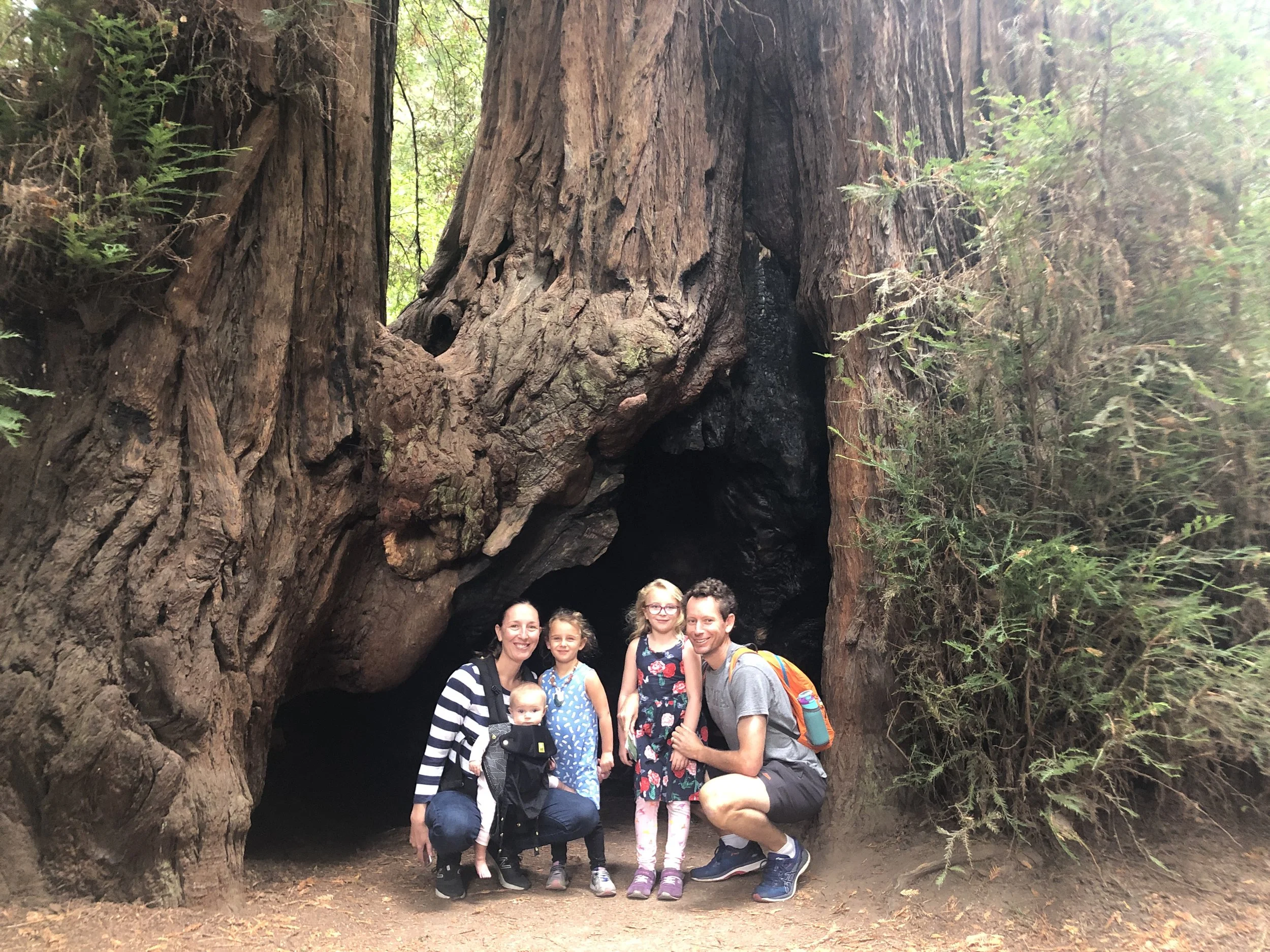 San Francisco: A fun 2-day layover