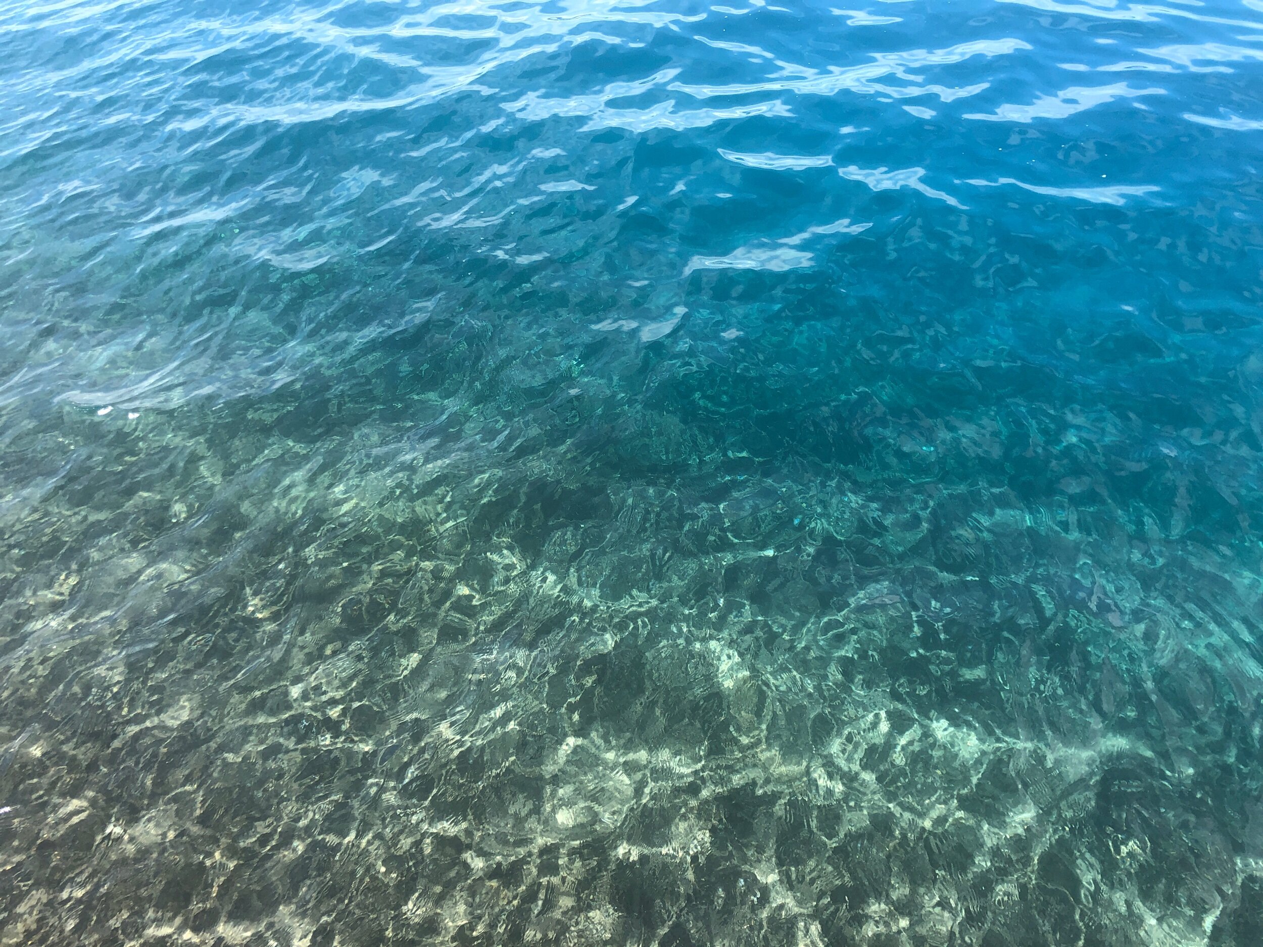 IMG_4154.jpeg