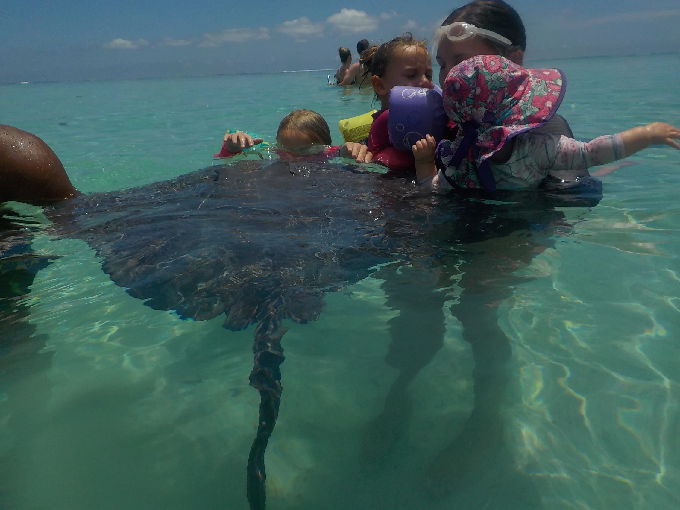 Moorea by Boat was Swimming with Stingrays!