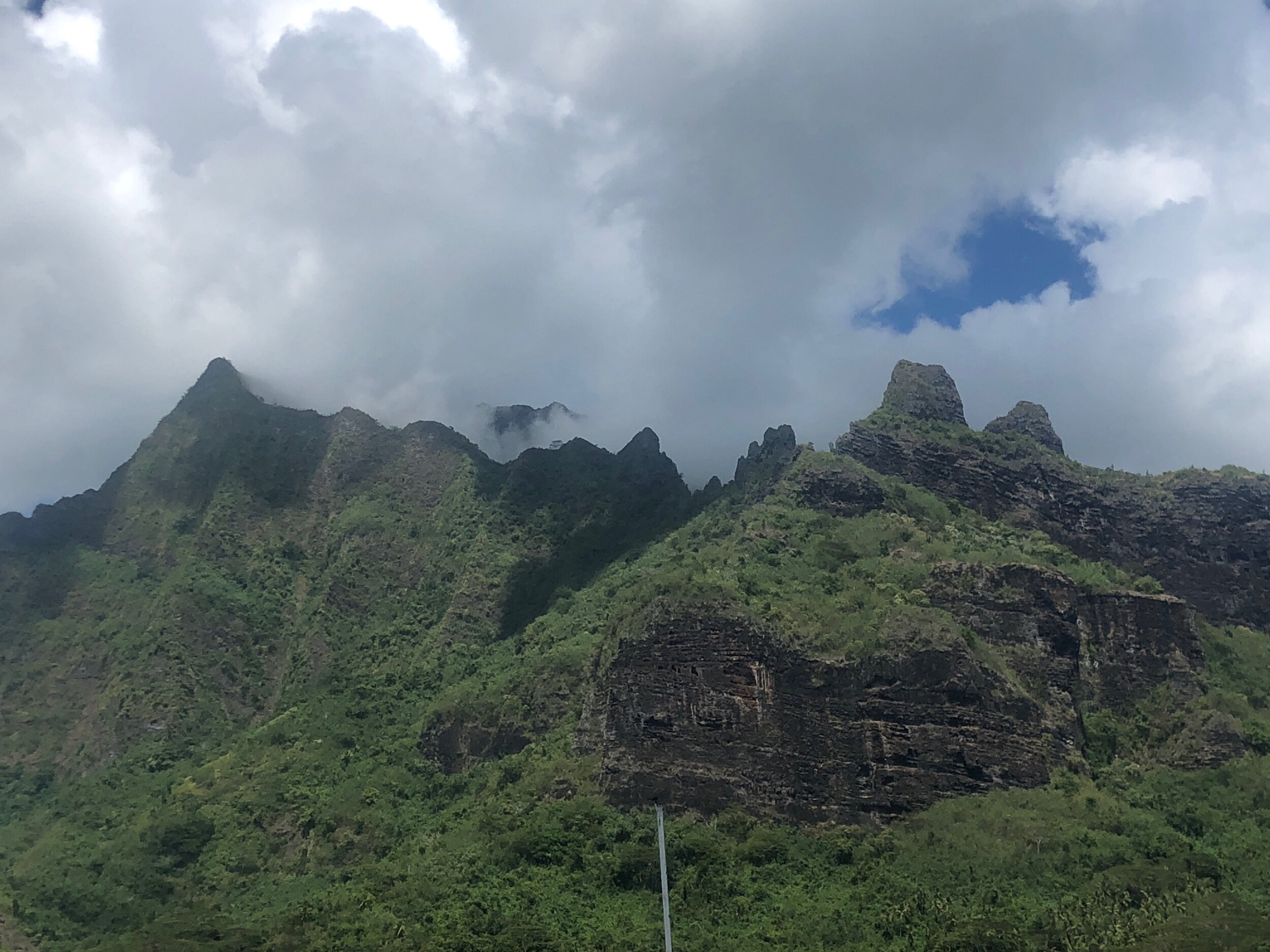 IMG_5912.jpeg