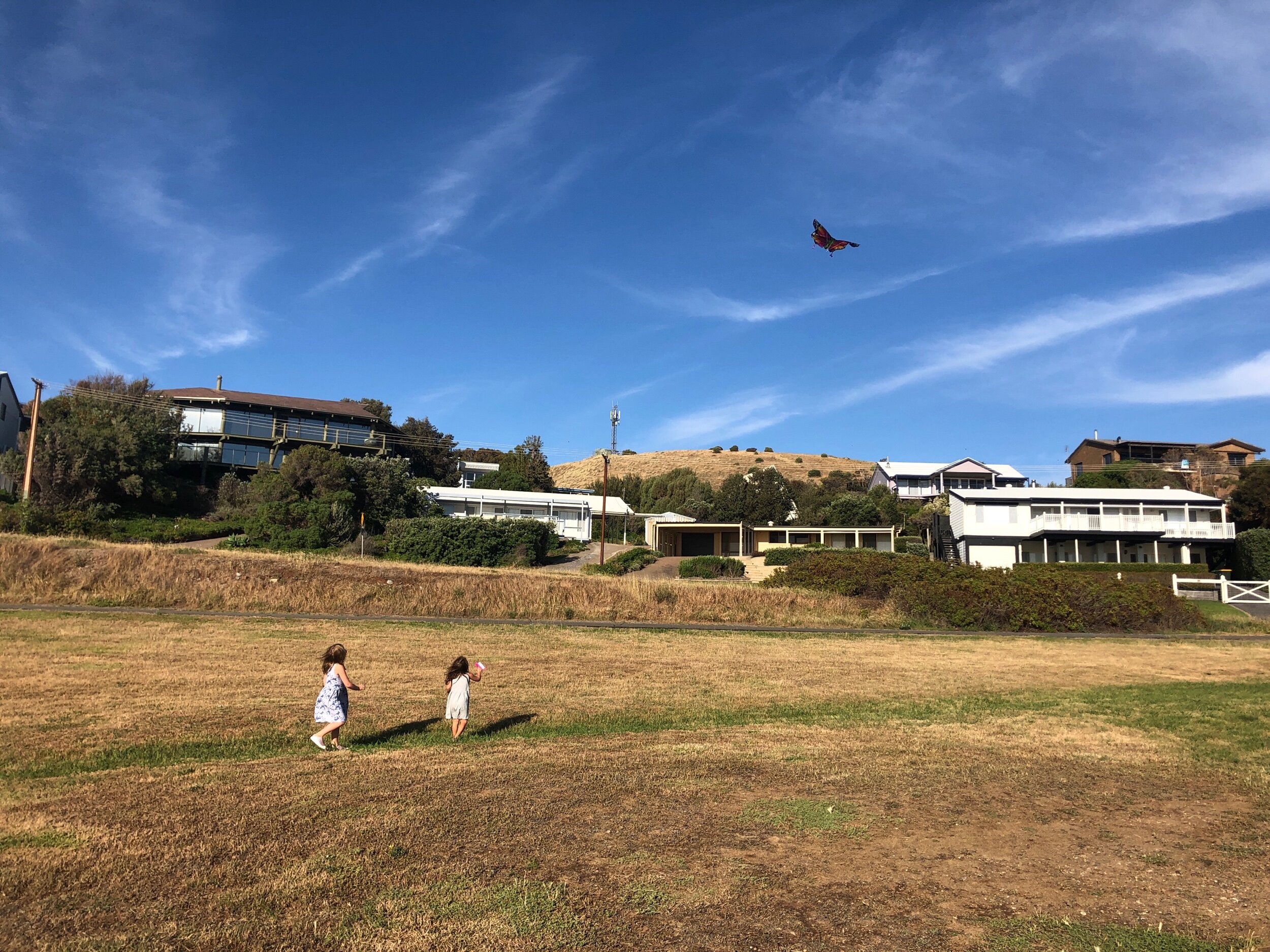 IMG_7224.jpeg