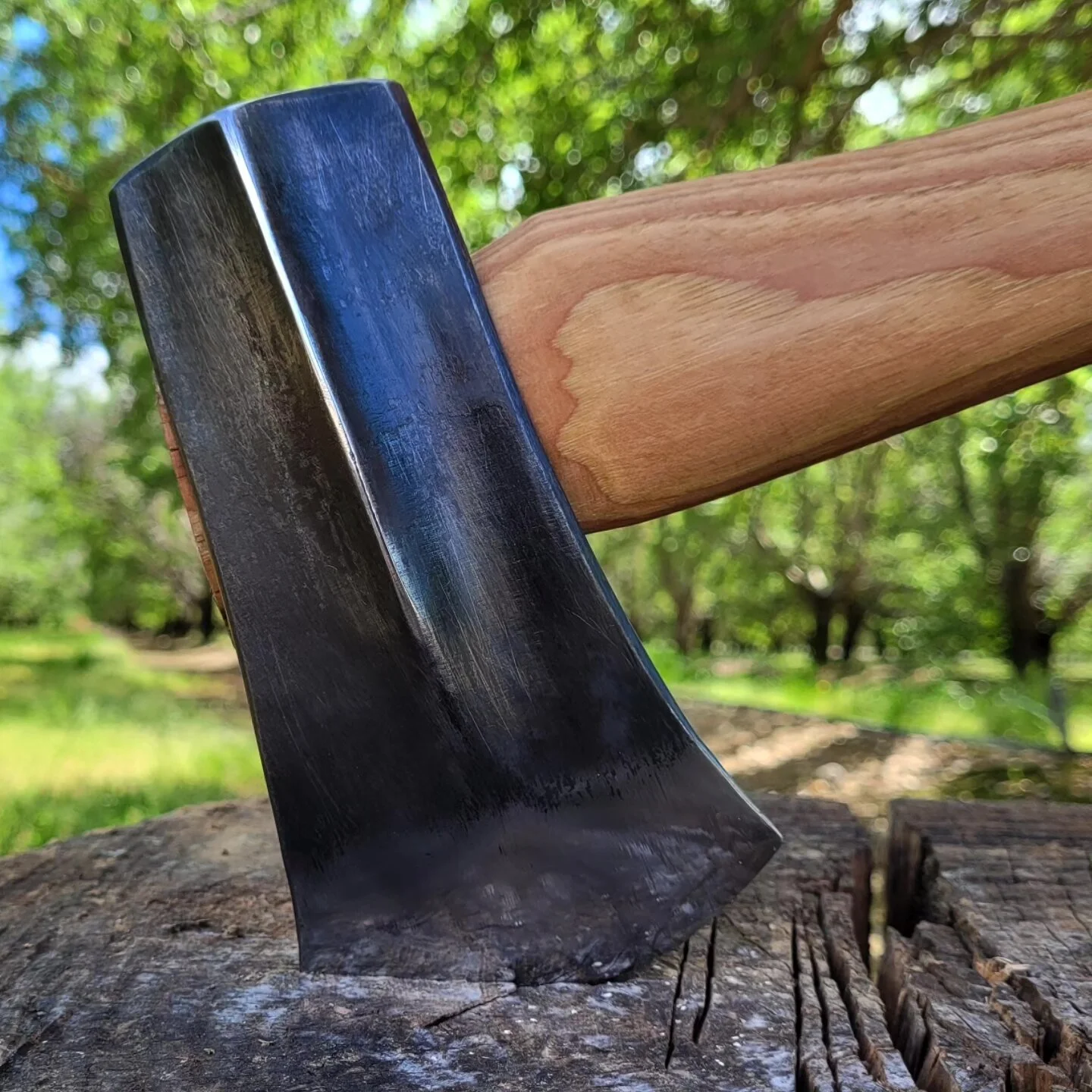 456AA6EC-F6CF-45A0-9481-72981D73B3EC