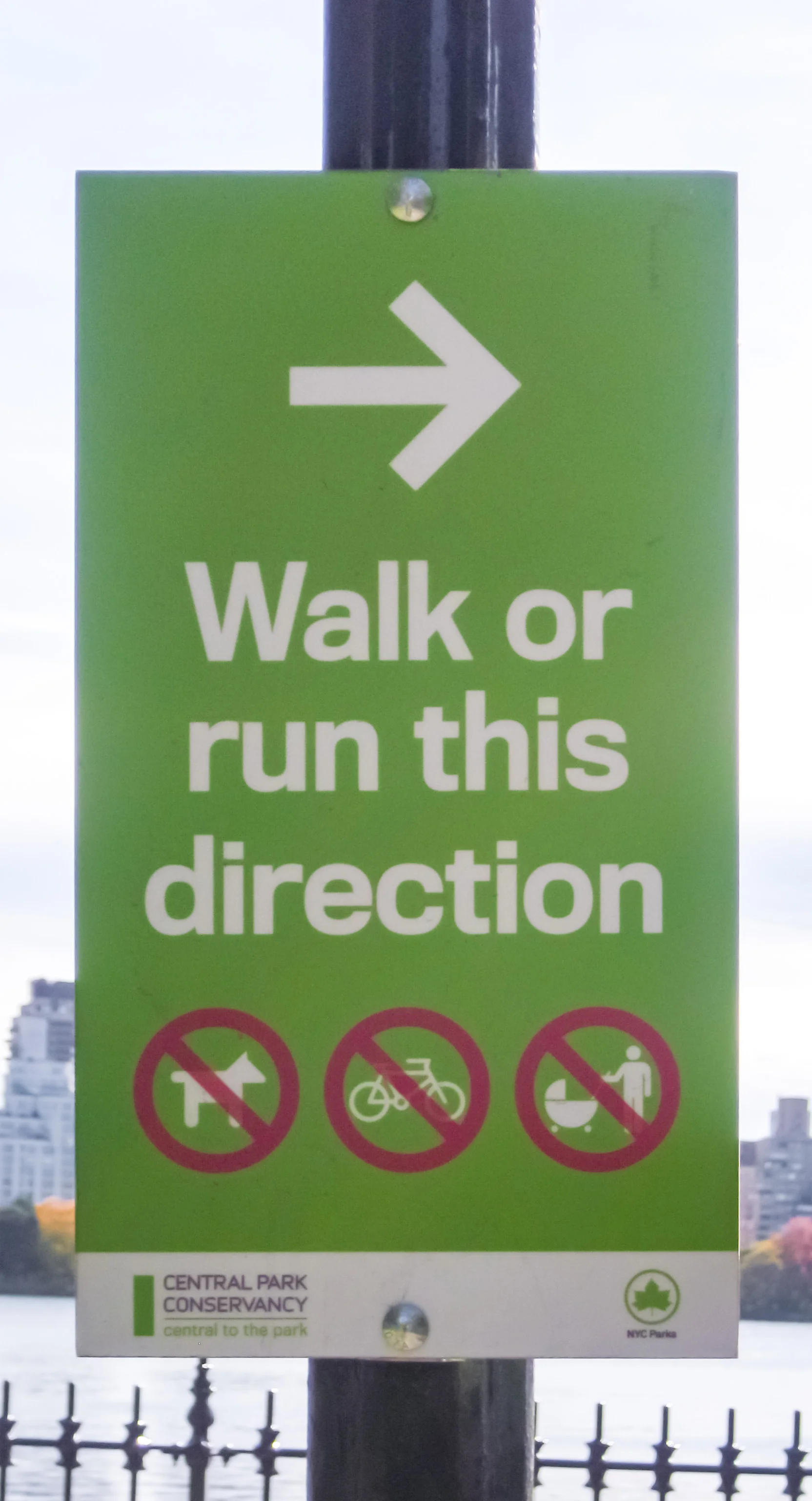 CP_WalkOrRunThisDirection.jpg