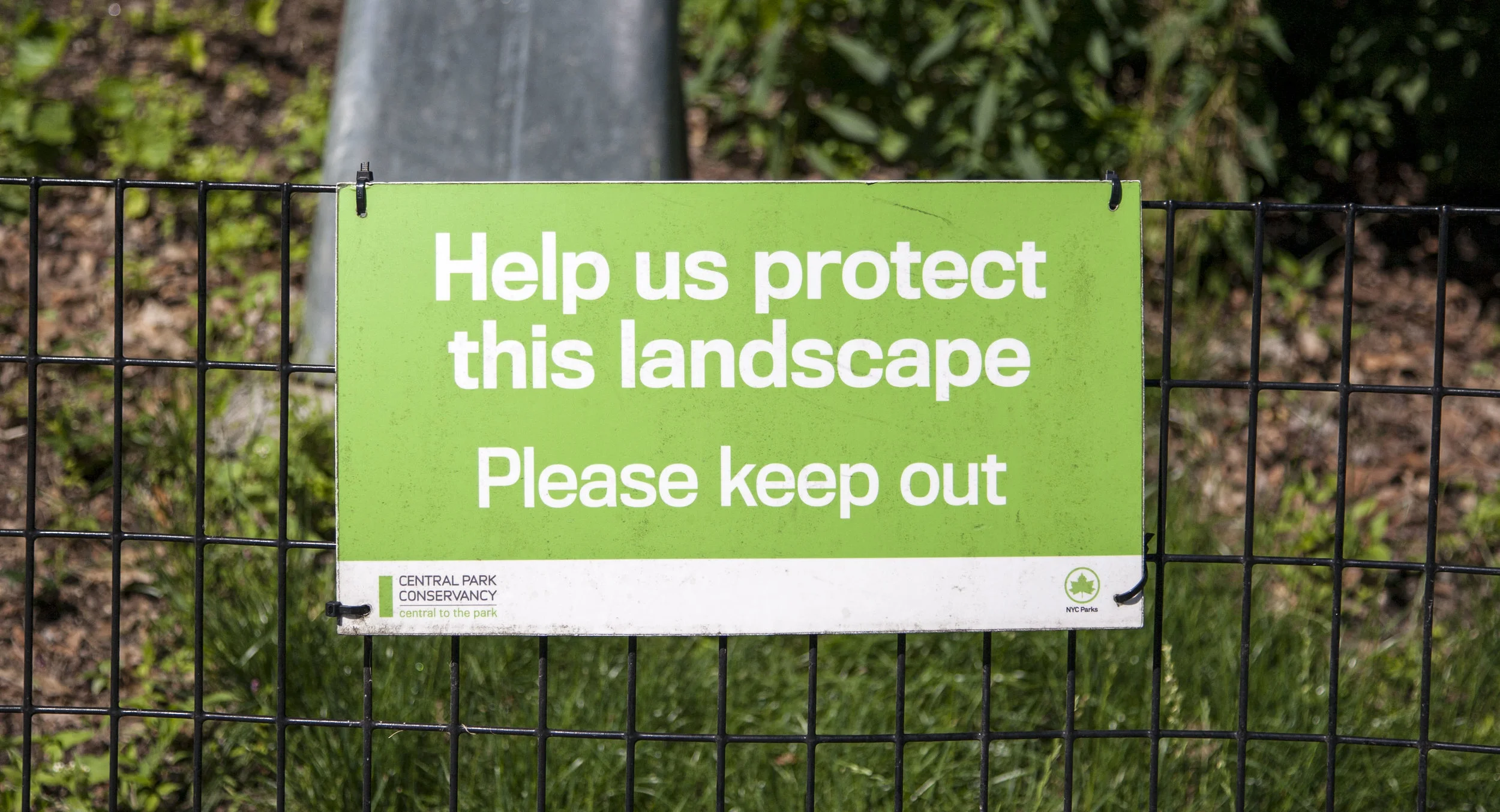 CP_ProtectThisLandscape.jpg