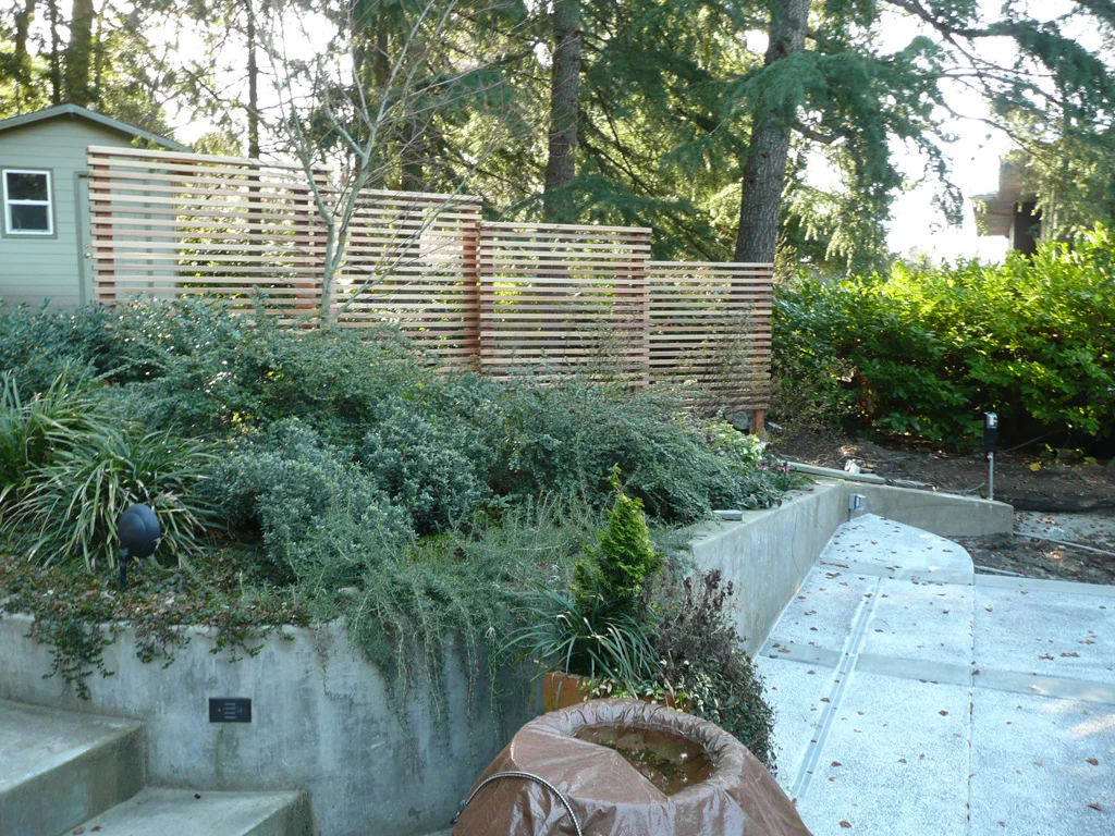 p1000234.jpg