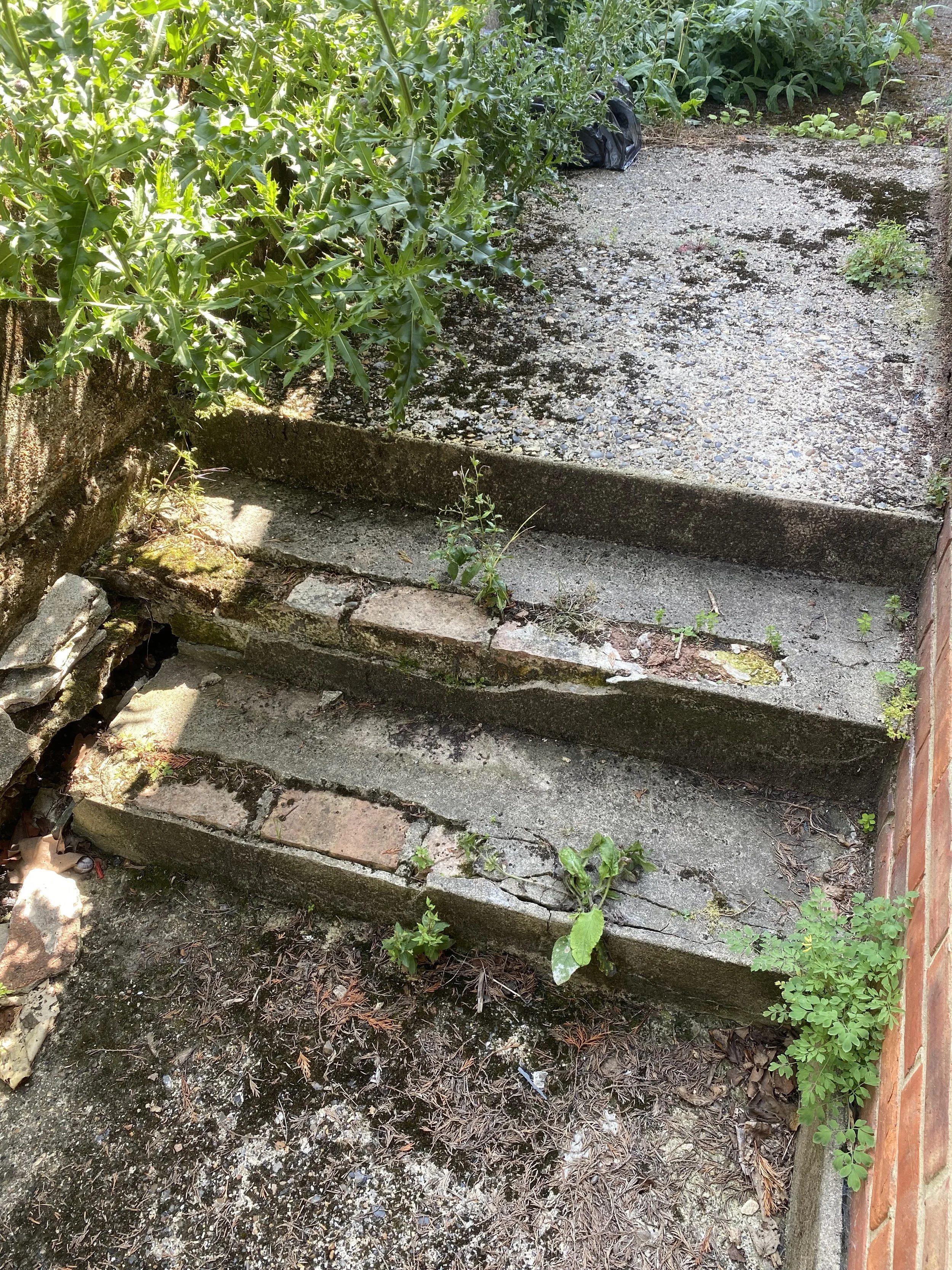 Defected Steps to Sidcup Baptist Church.jpeg