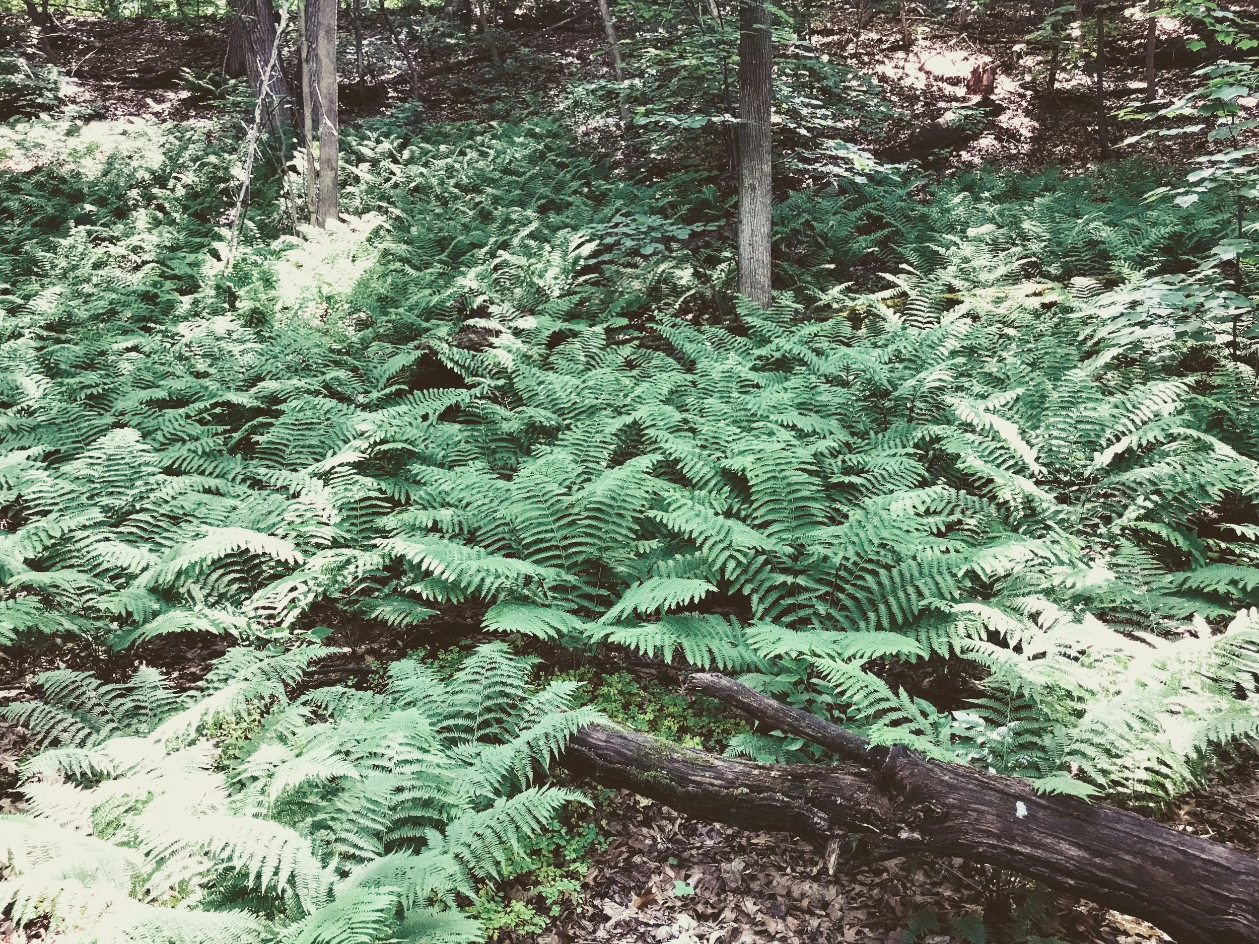 a love note for Virgo season