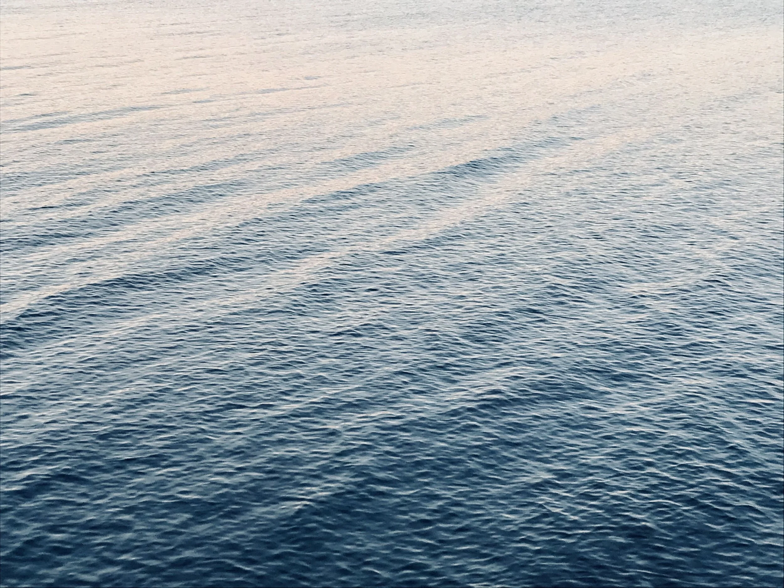 what is emotional intelligence? and 3 ways breathwork helps build it