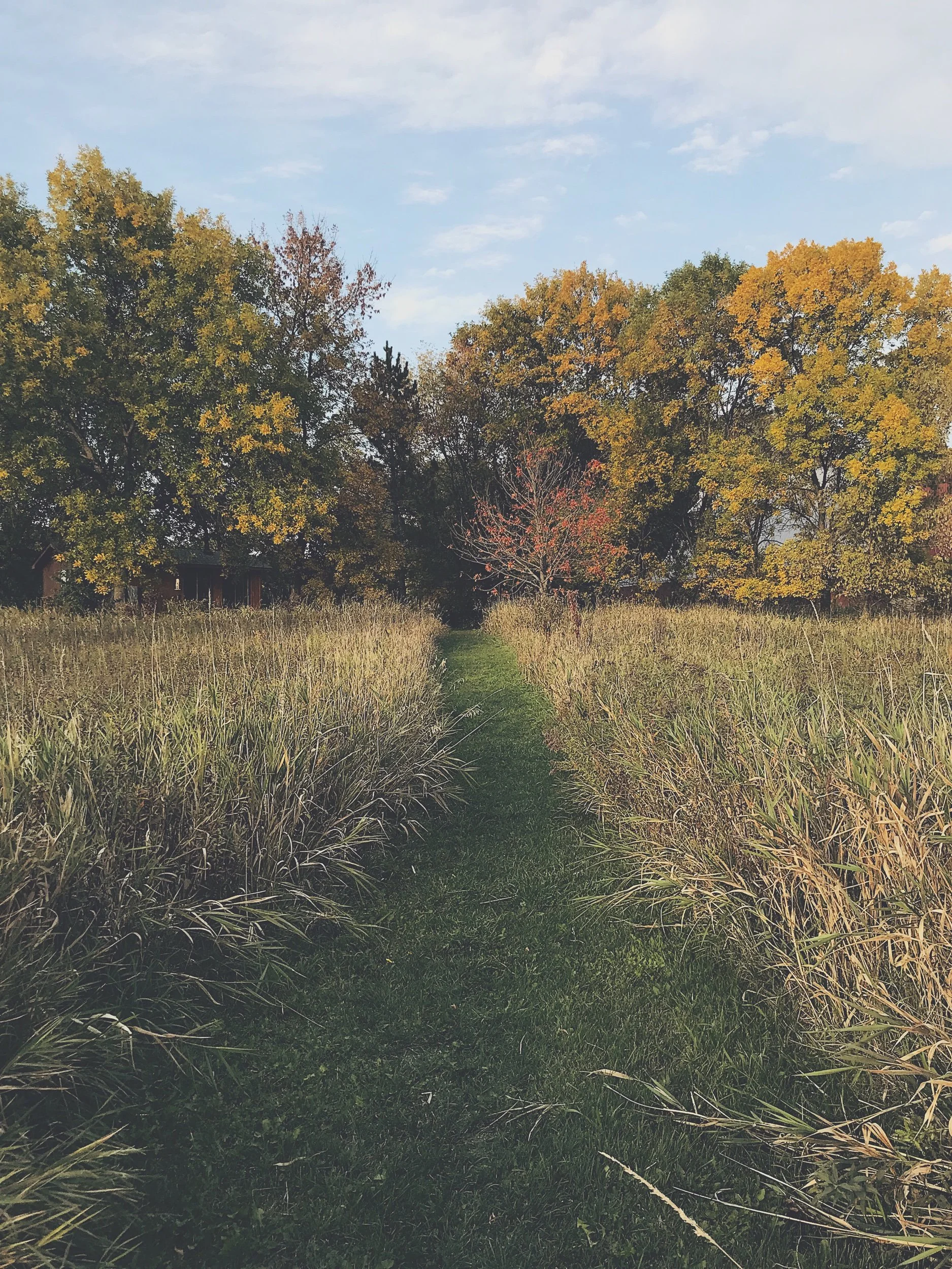 which type of breathwork is right for me?