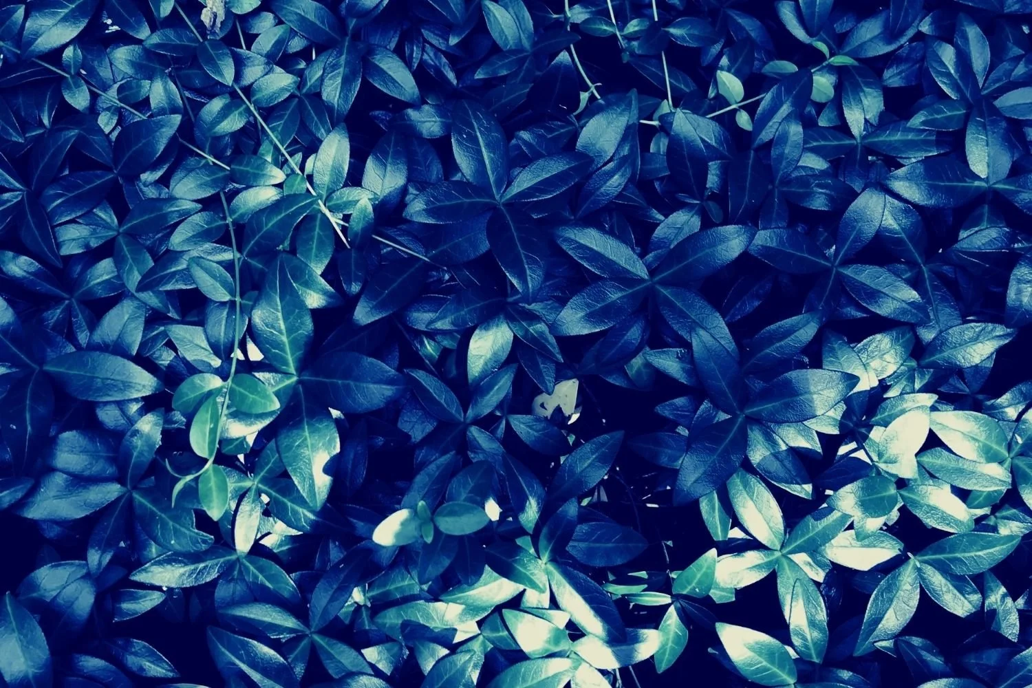 01 | Healing &amp; the healing journey