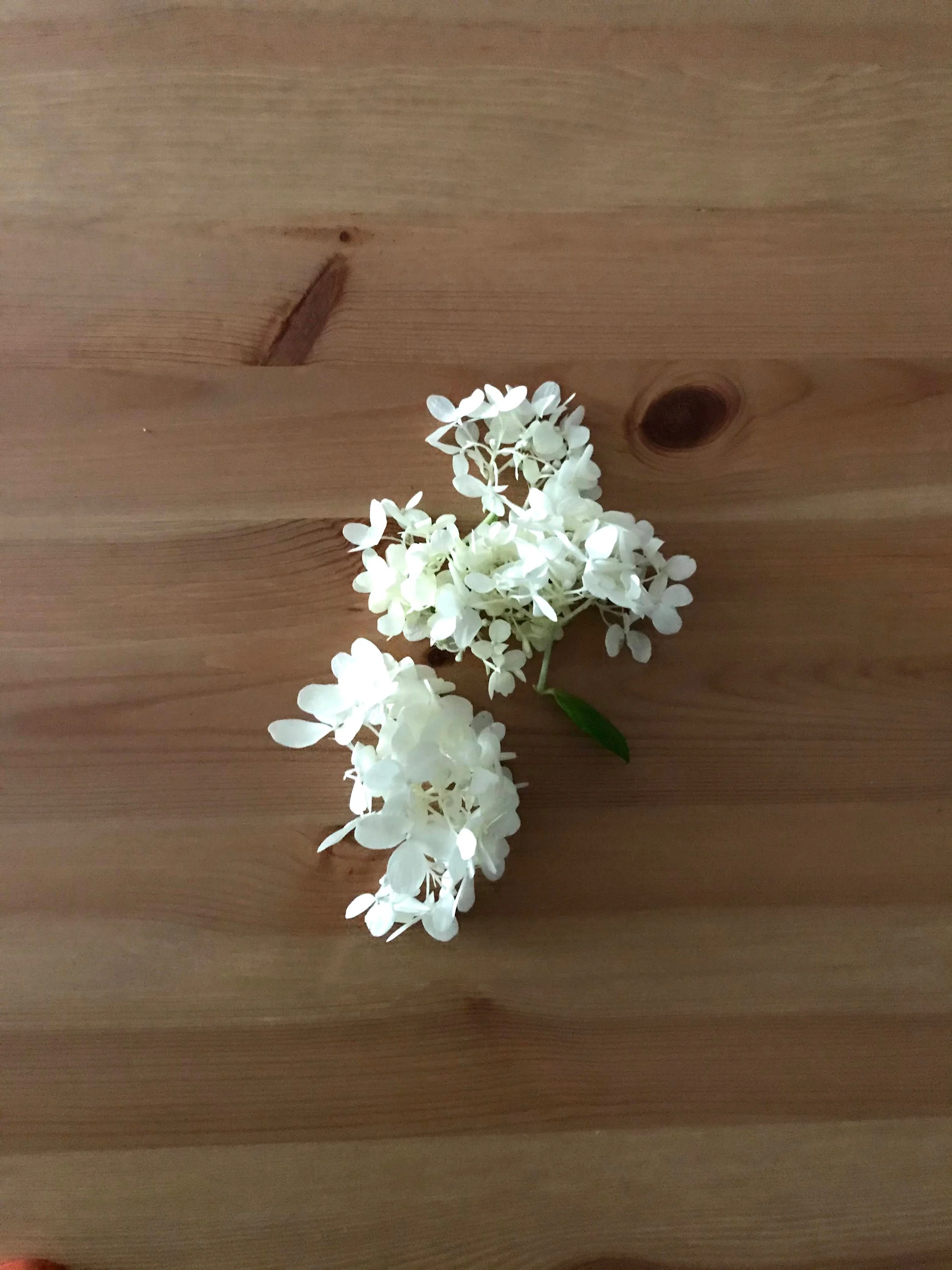 03 | Dealing with burnout and the unexpected ways you can cultivate rest