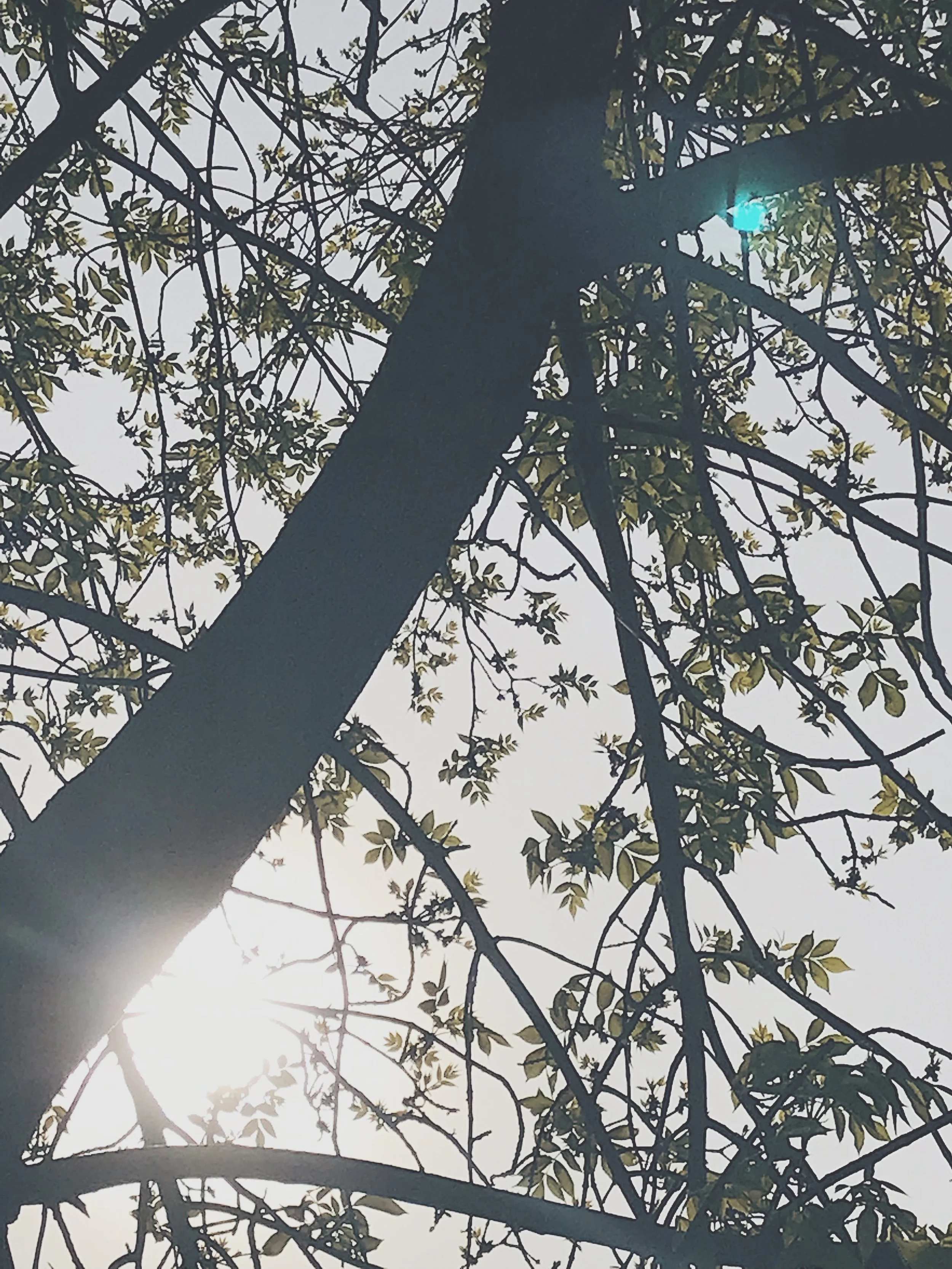 04 | Instead of making time, make choices to find moments