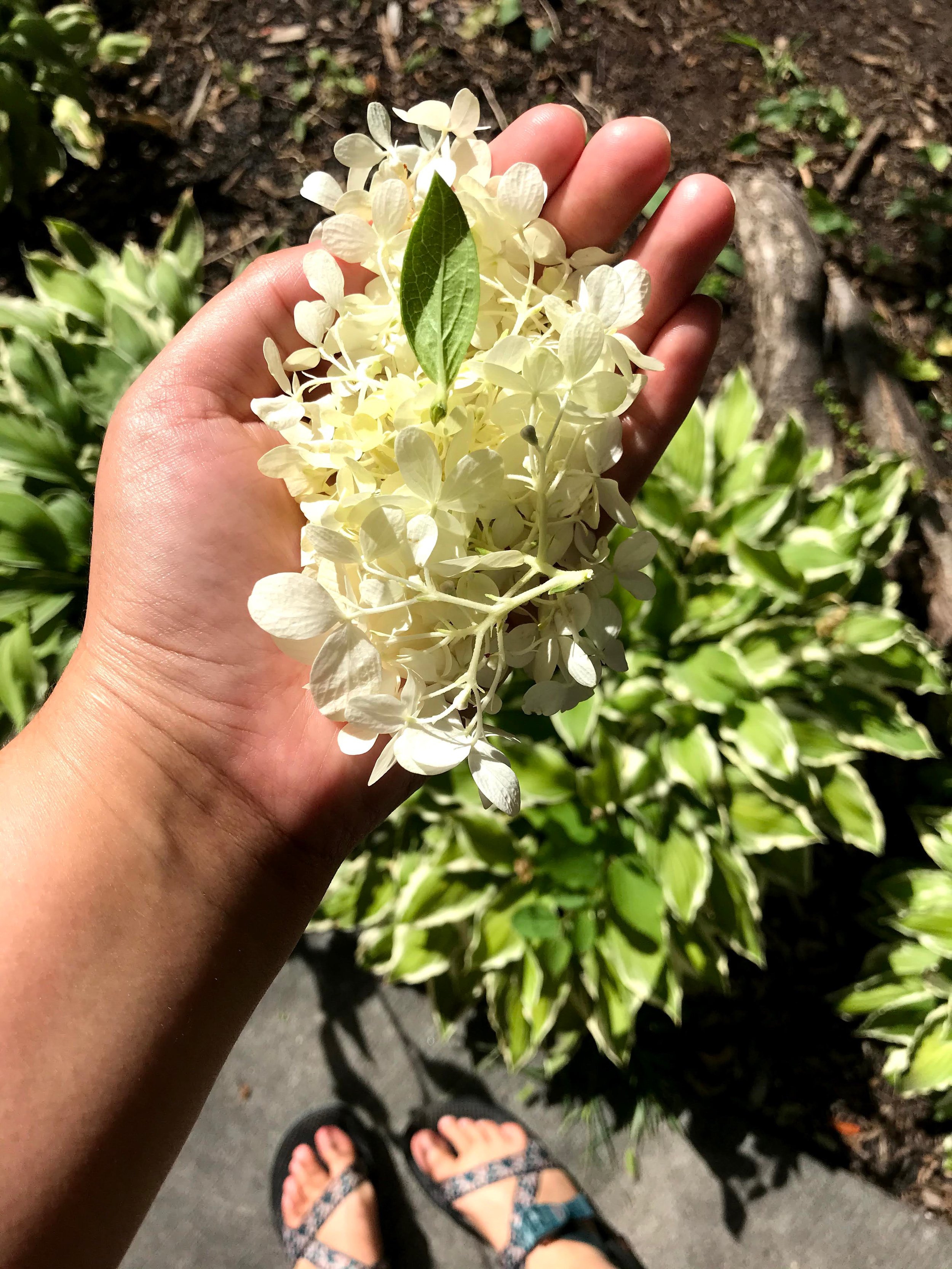 05 | What is radical self - care?