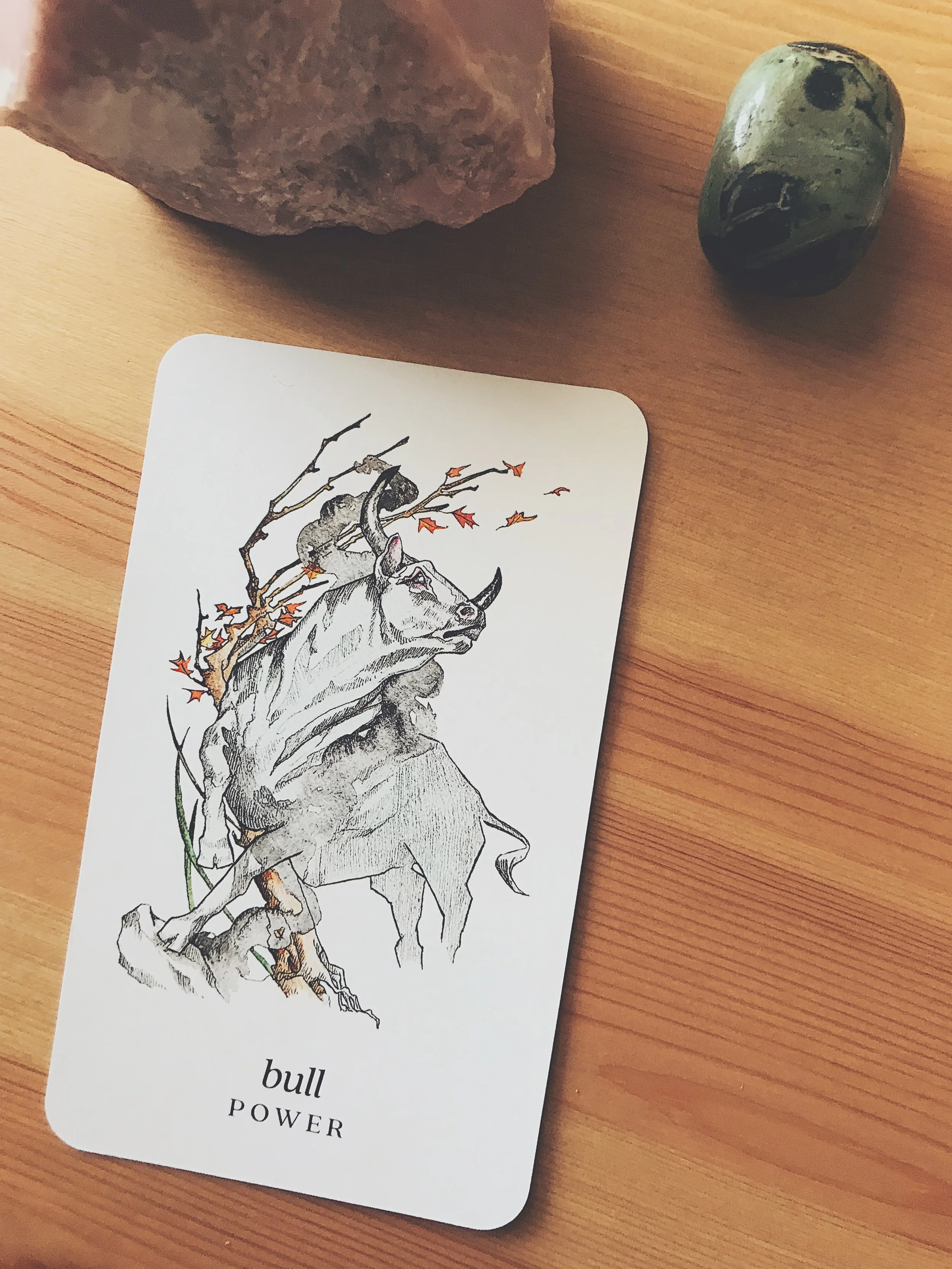 06 | On becoming under a full moon eclipse