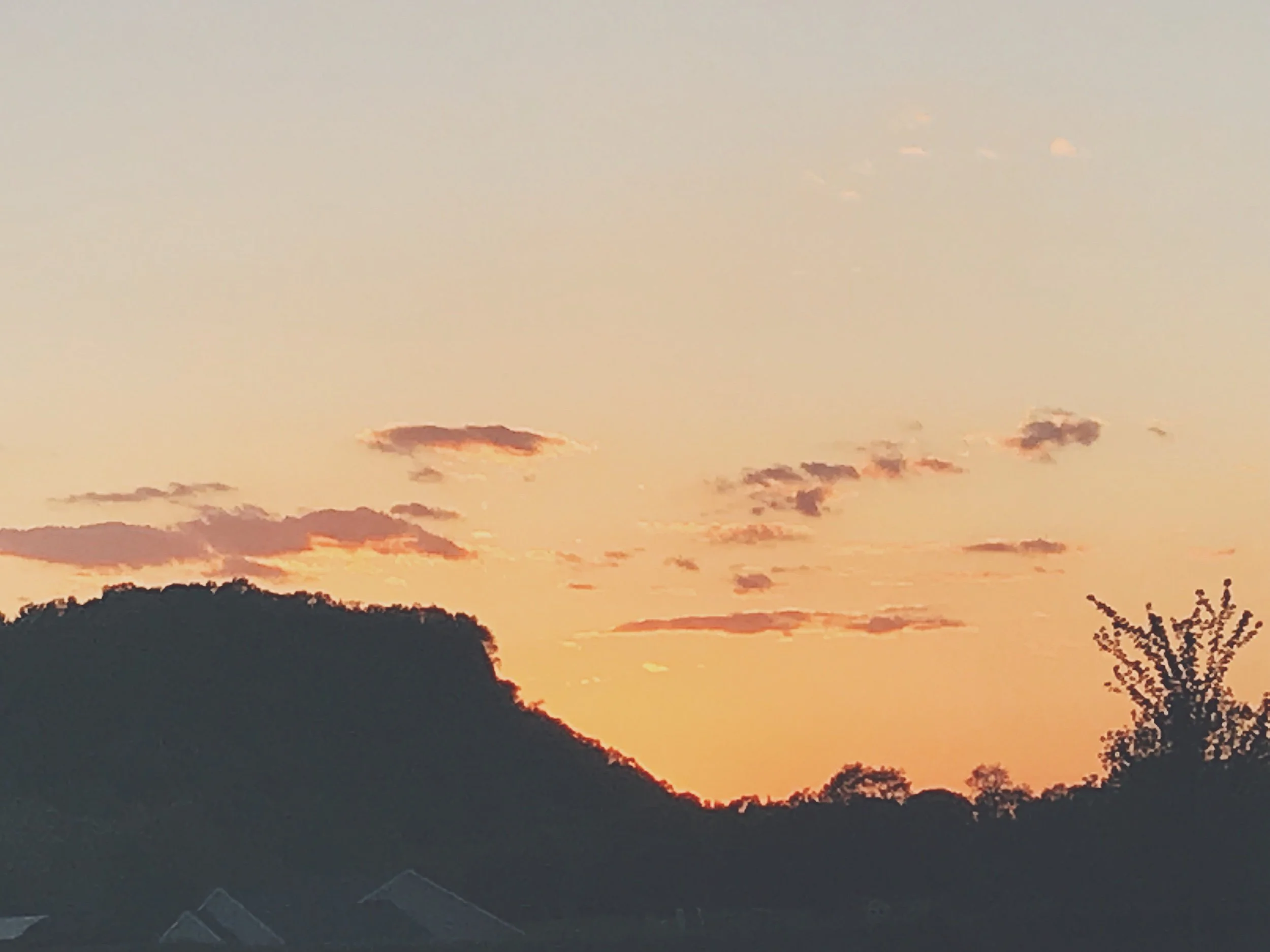 solar eclipse in Aries &amp; moving into Taurus season - lessons on leading with creativity