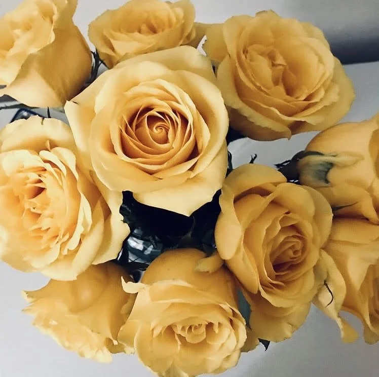 7 lessons from my first year in business