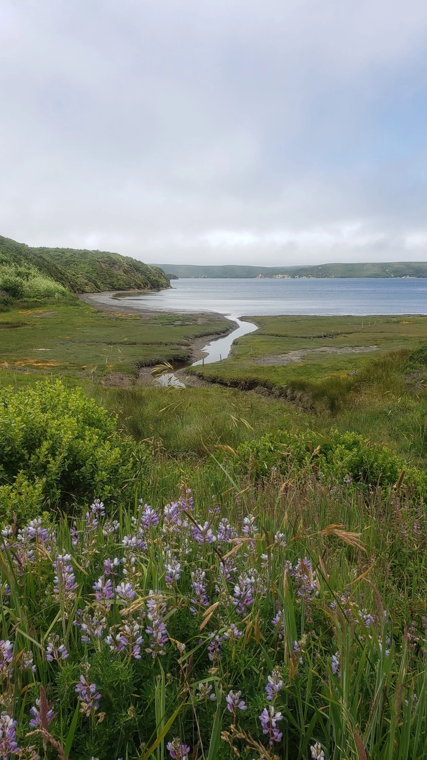 Point Reyes: Estero Trail to Sunset Beach