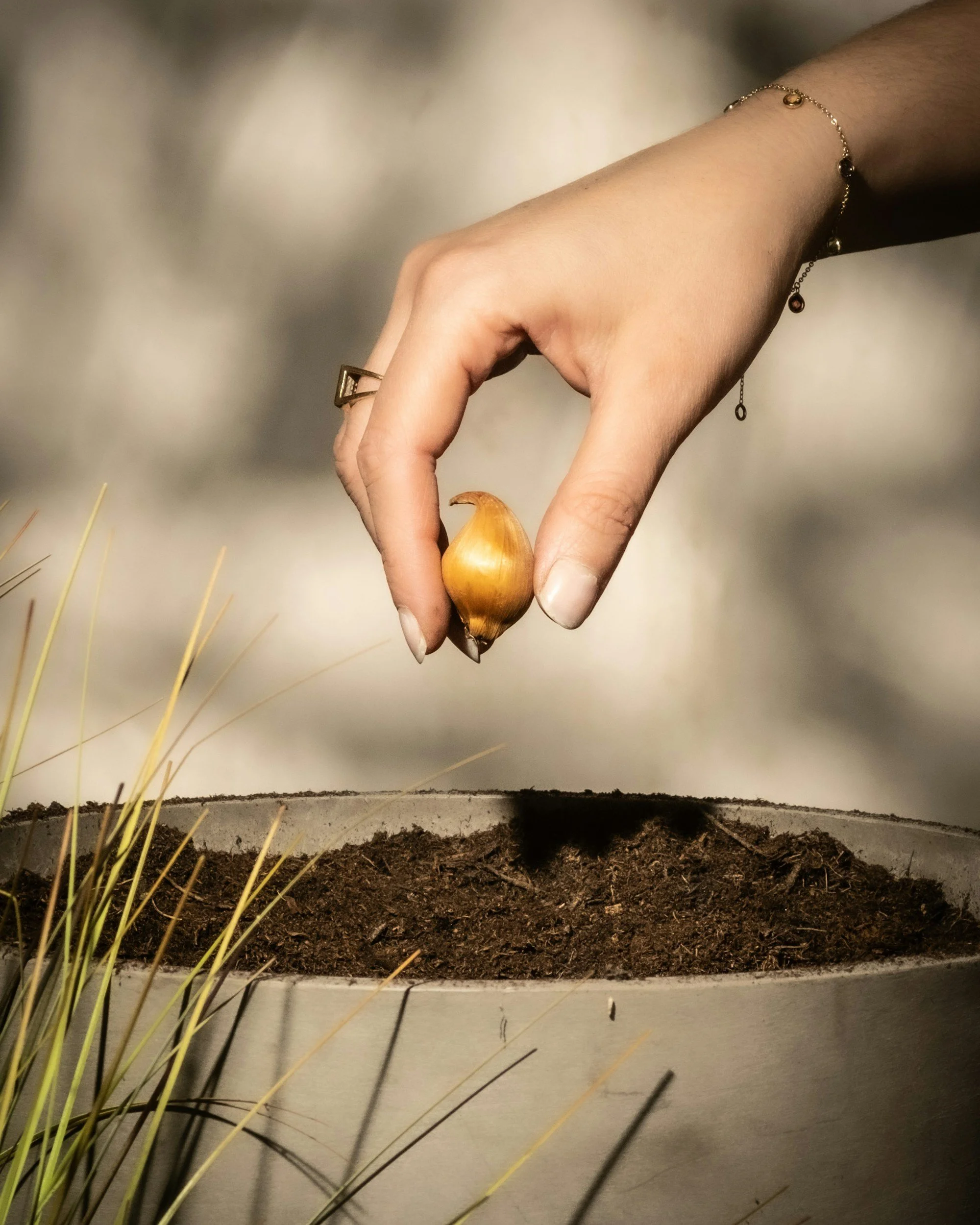 Backyard Gardening Series