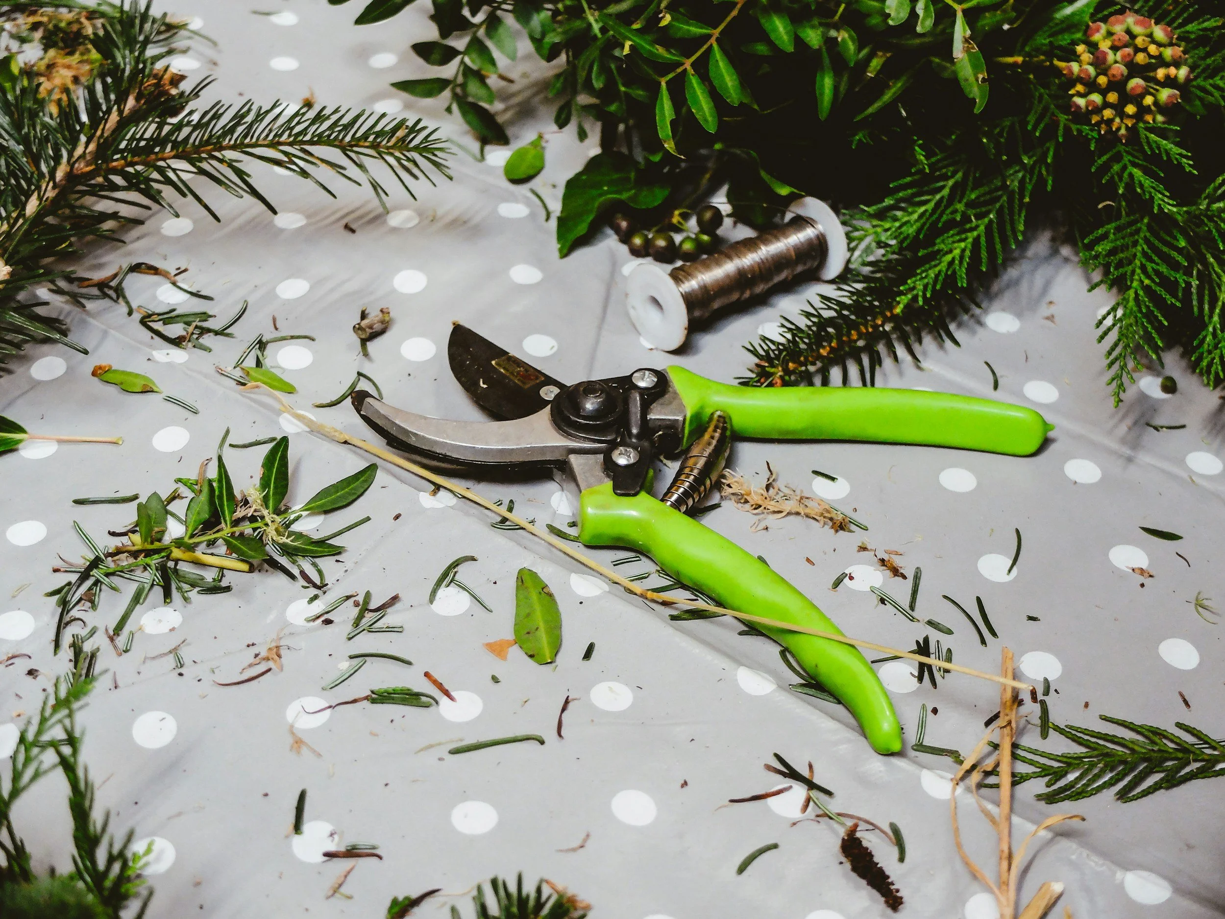 Master Gardeners Guidance