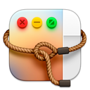 Lasso Icon