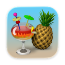 Handbrake Icon
