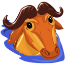 Aquamacs Icon