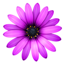 Textmate Icon